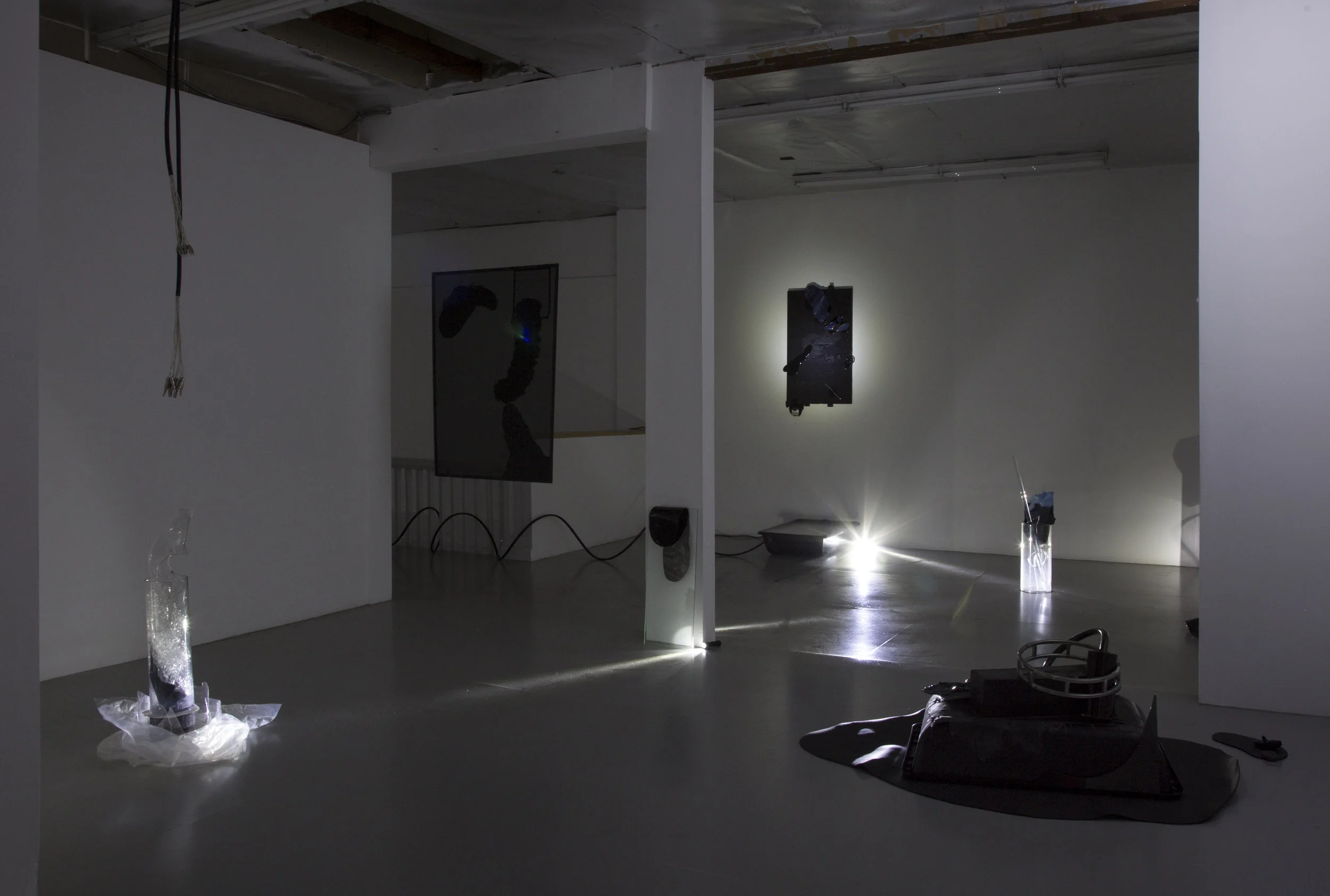 Canary for the Family , Installation View