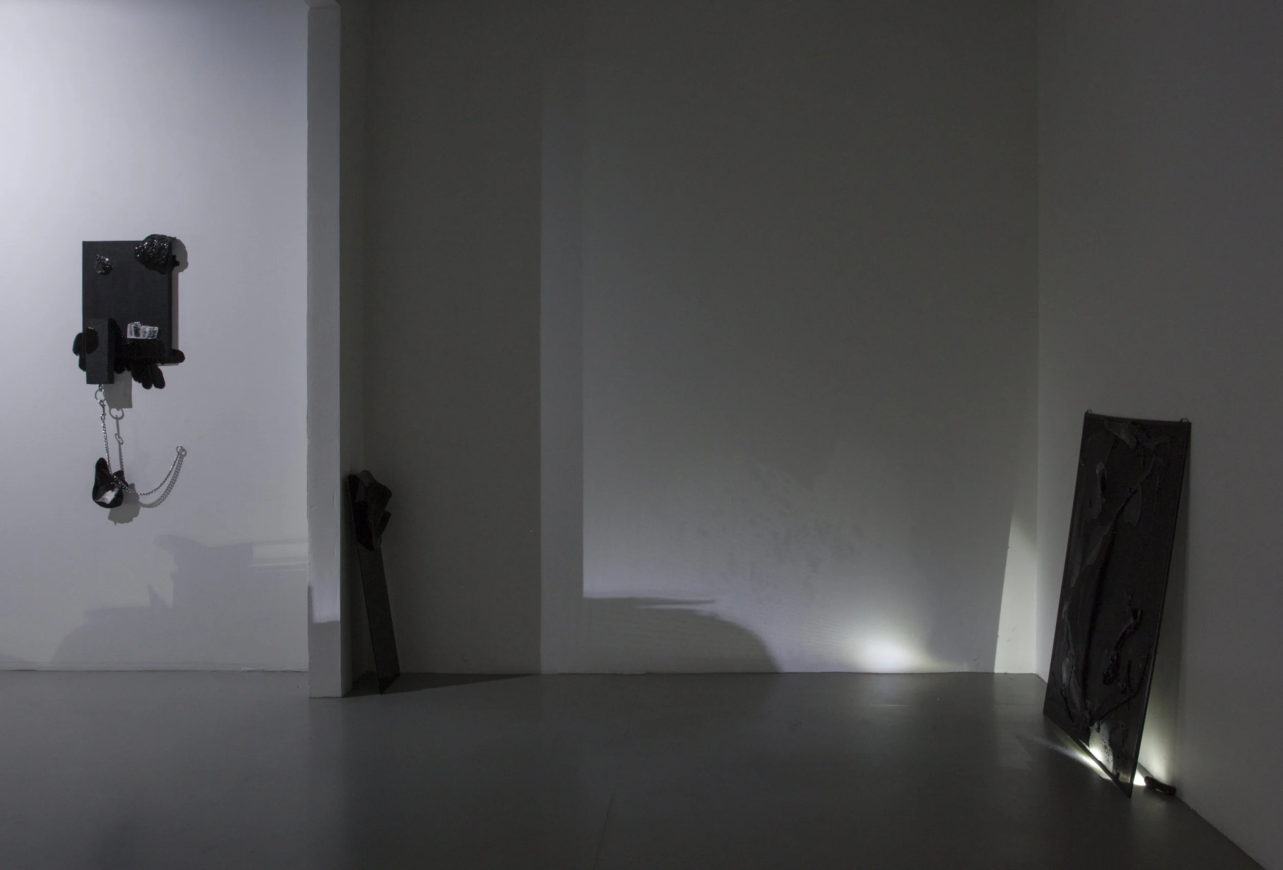 Canary for the Family , Installation View