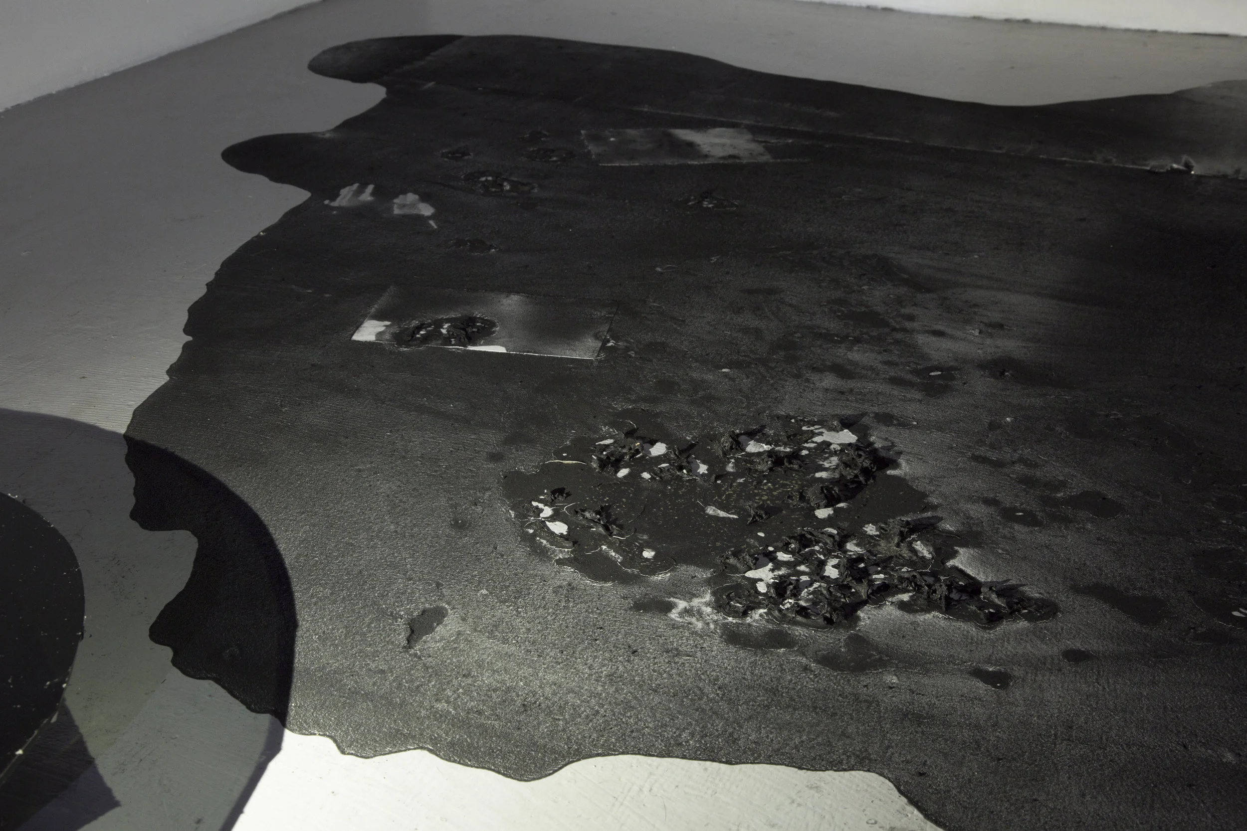 Canary for the Family , Installation View