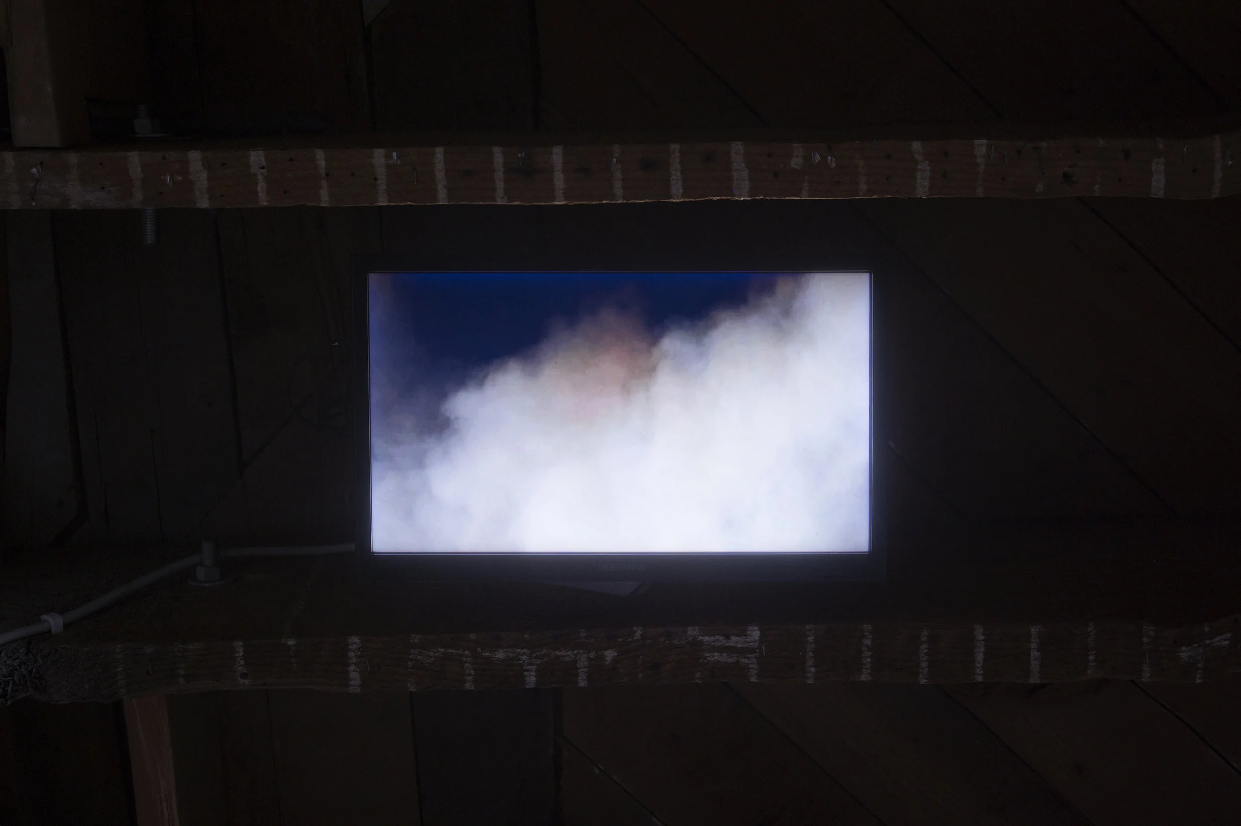 Canary for the Family , Installation View