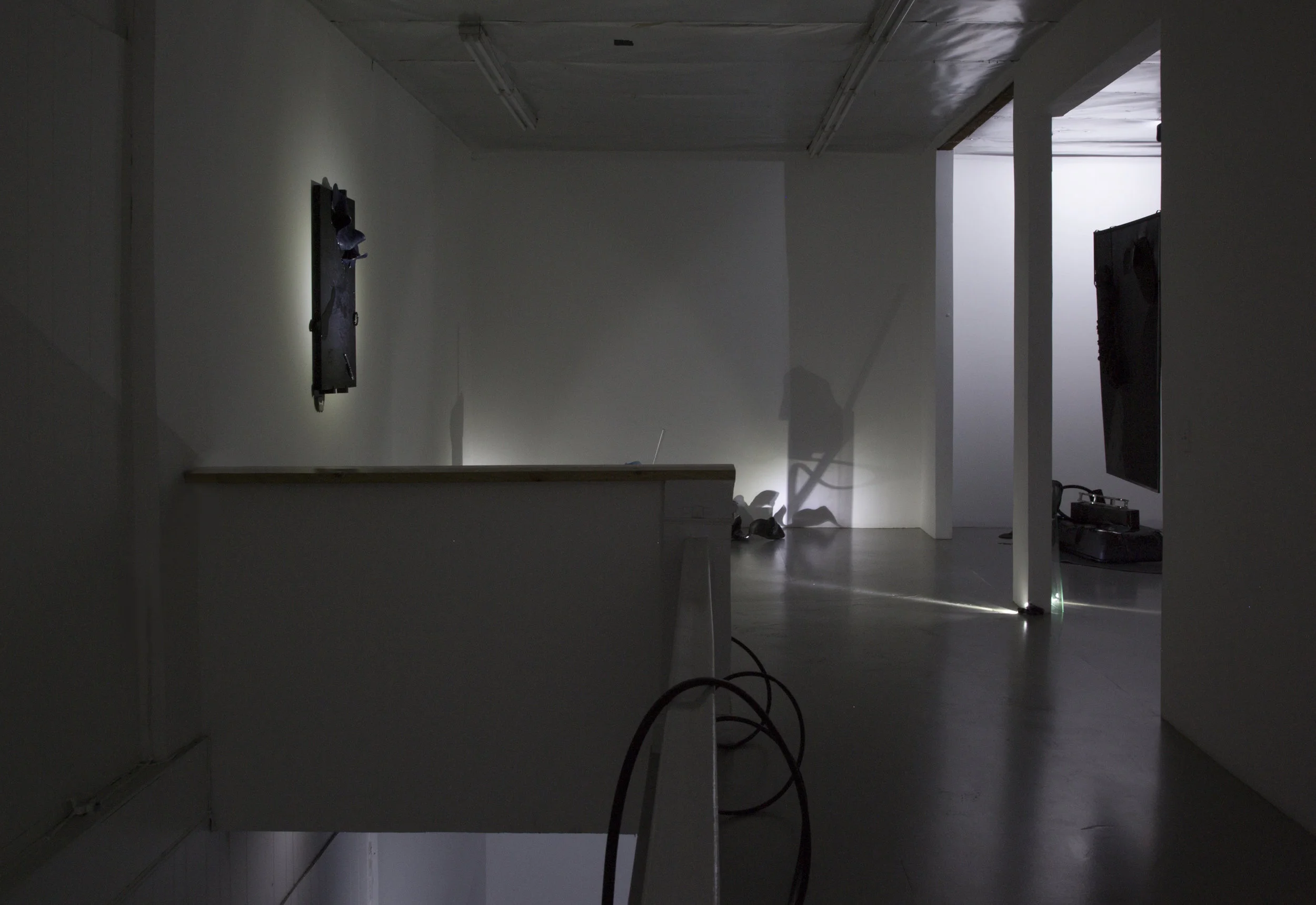 Canary for the Family , Installation View