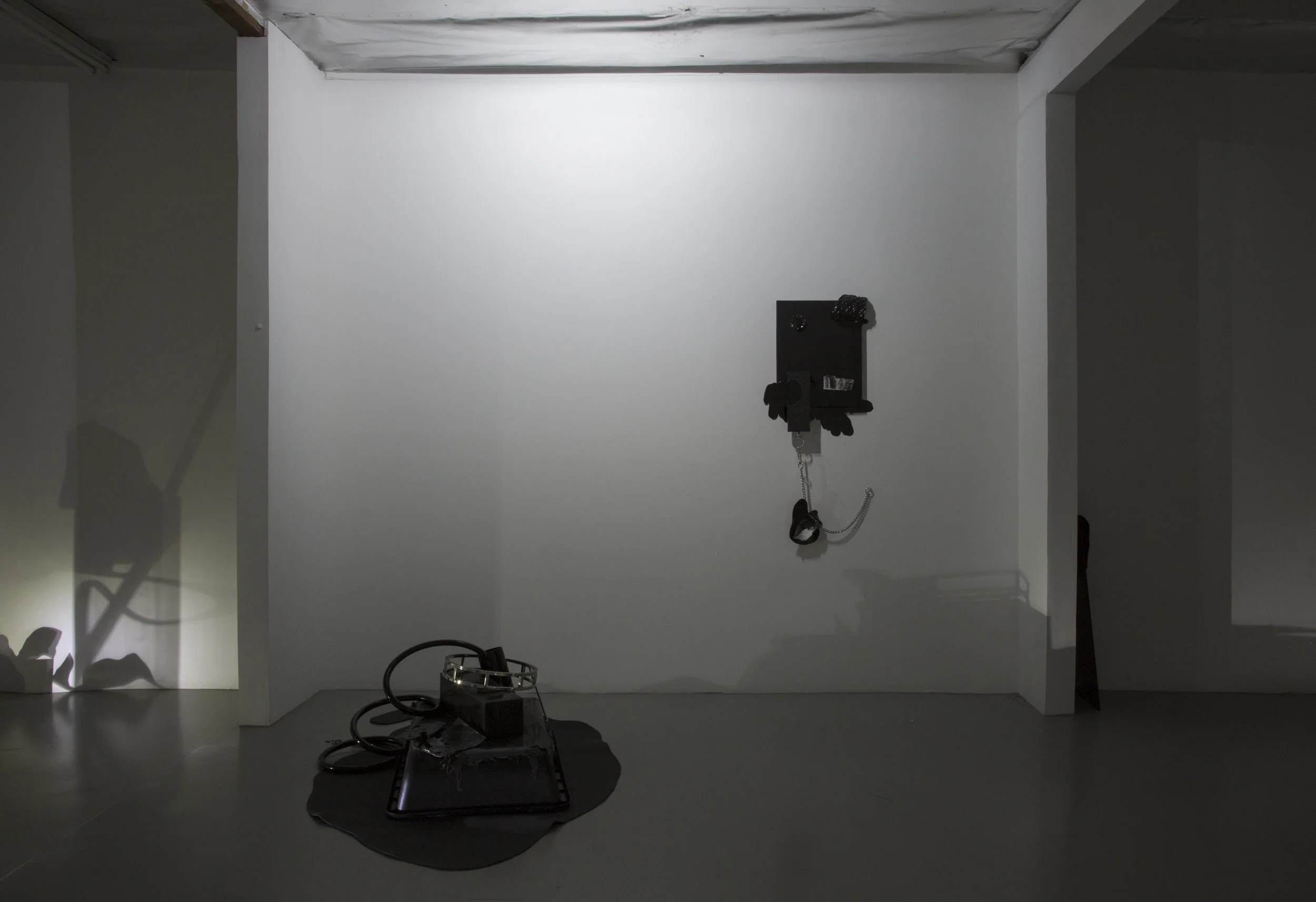 Canary for the Family , Installation View