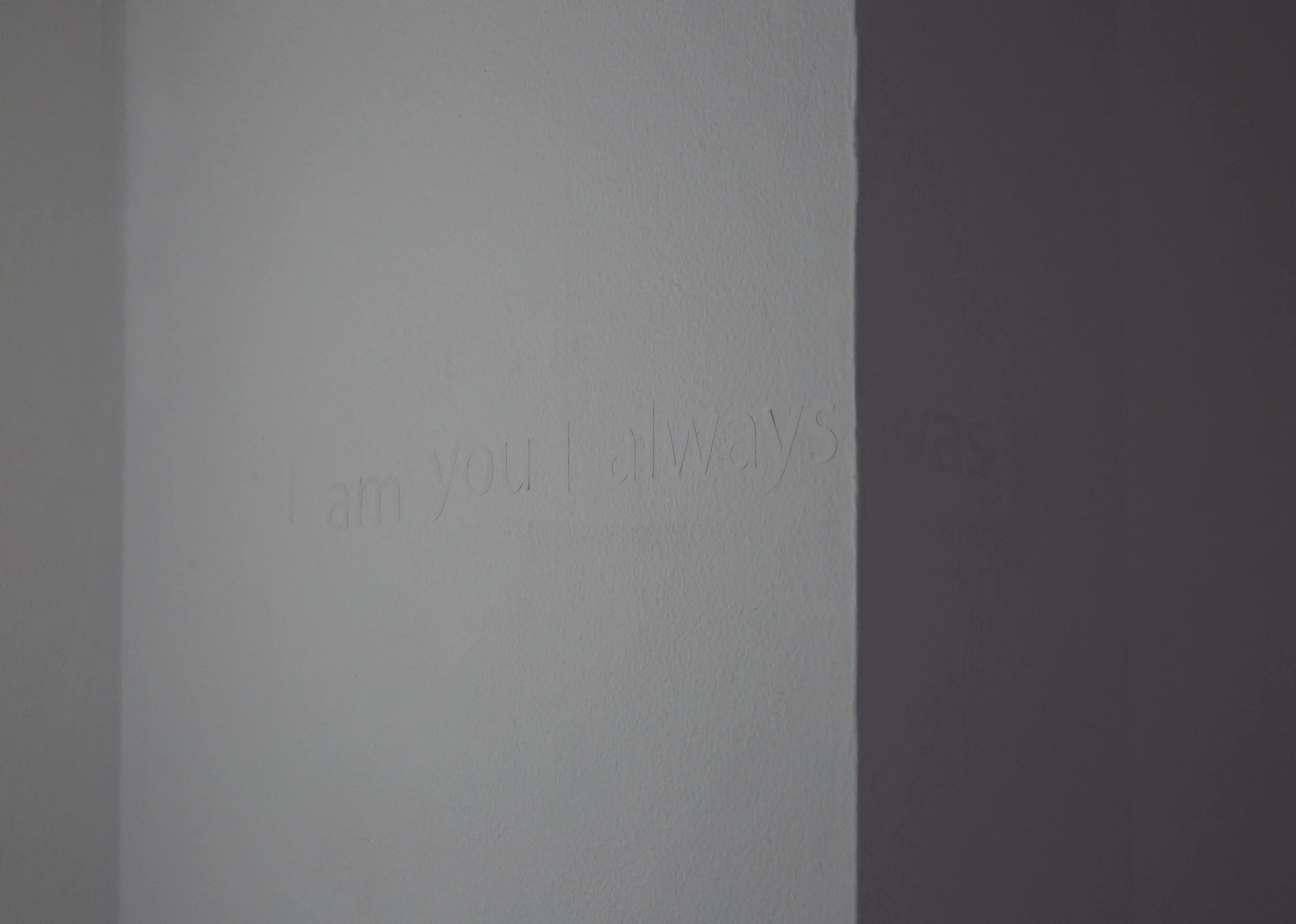 Canary for the Family , Installation View