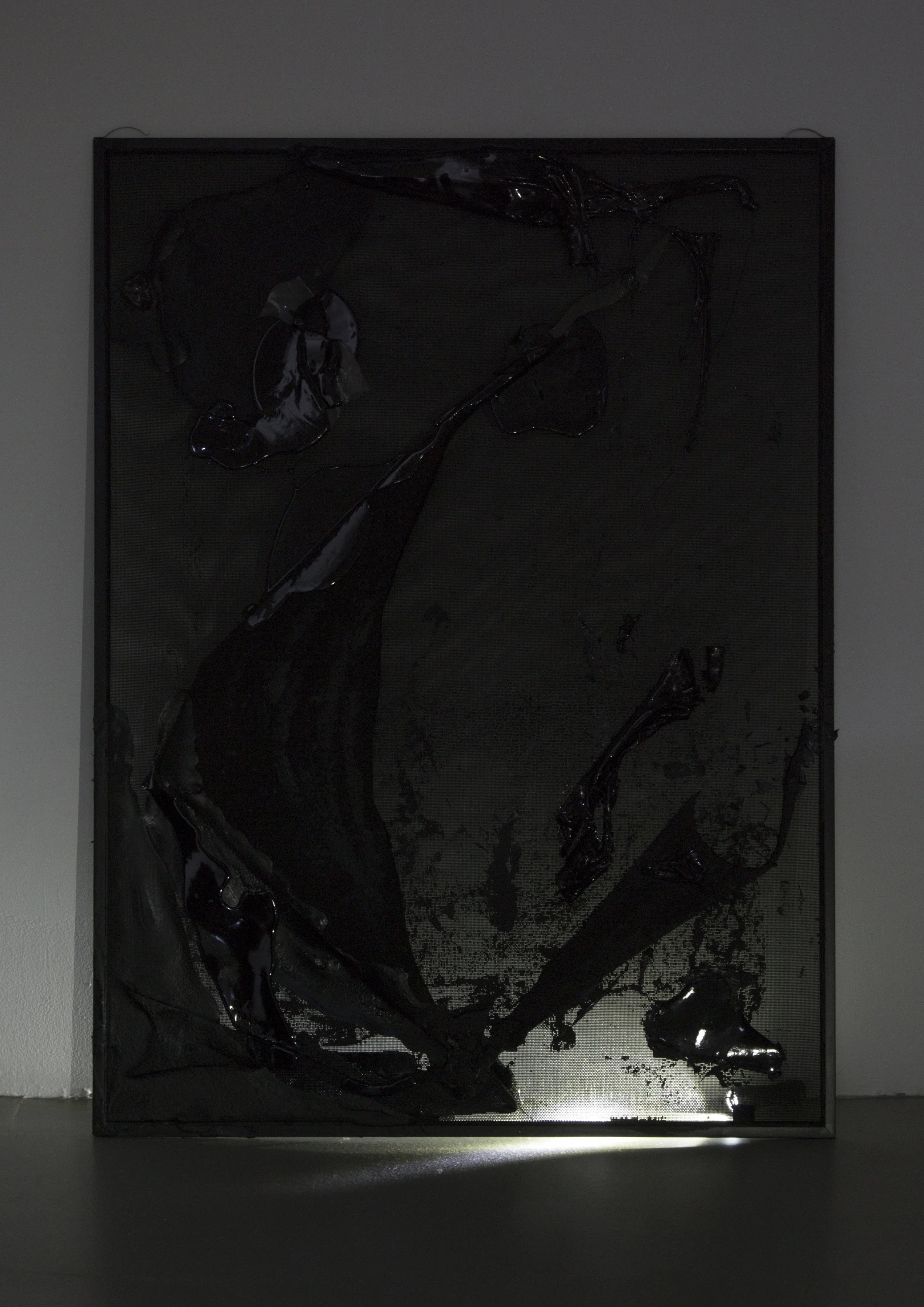 Canary for the Family , Installation View