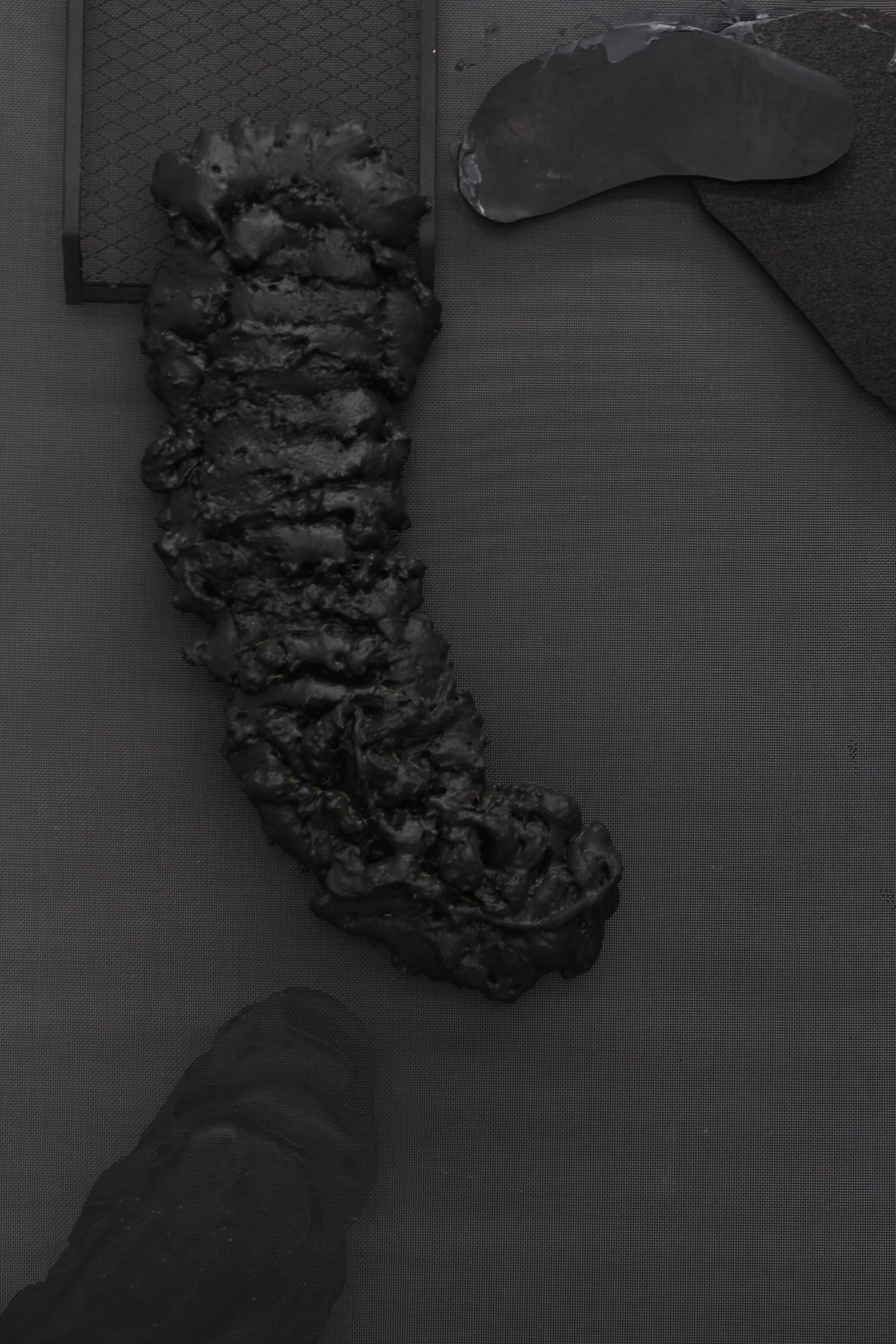   RK: I have faith in the night   :  NE  (detail), 2018 