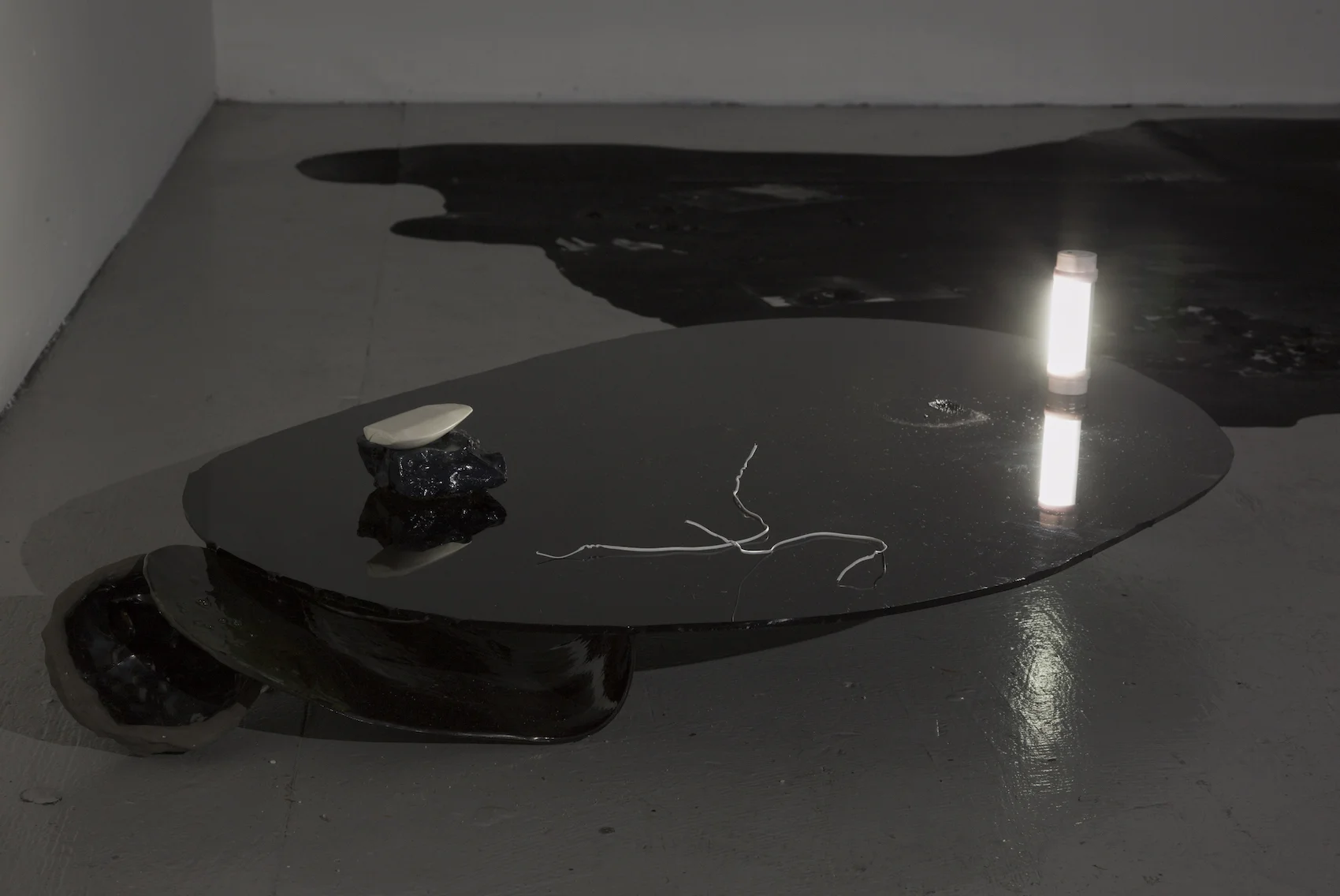 Canary for the Family , Installation View
