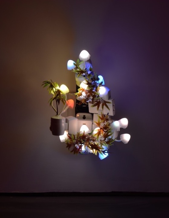 Trevor Yeung, Night Mushroom Colon (Six) , 2018