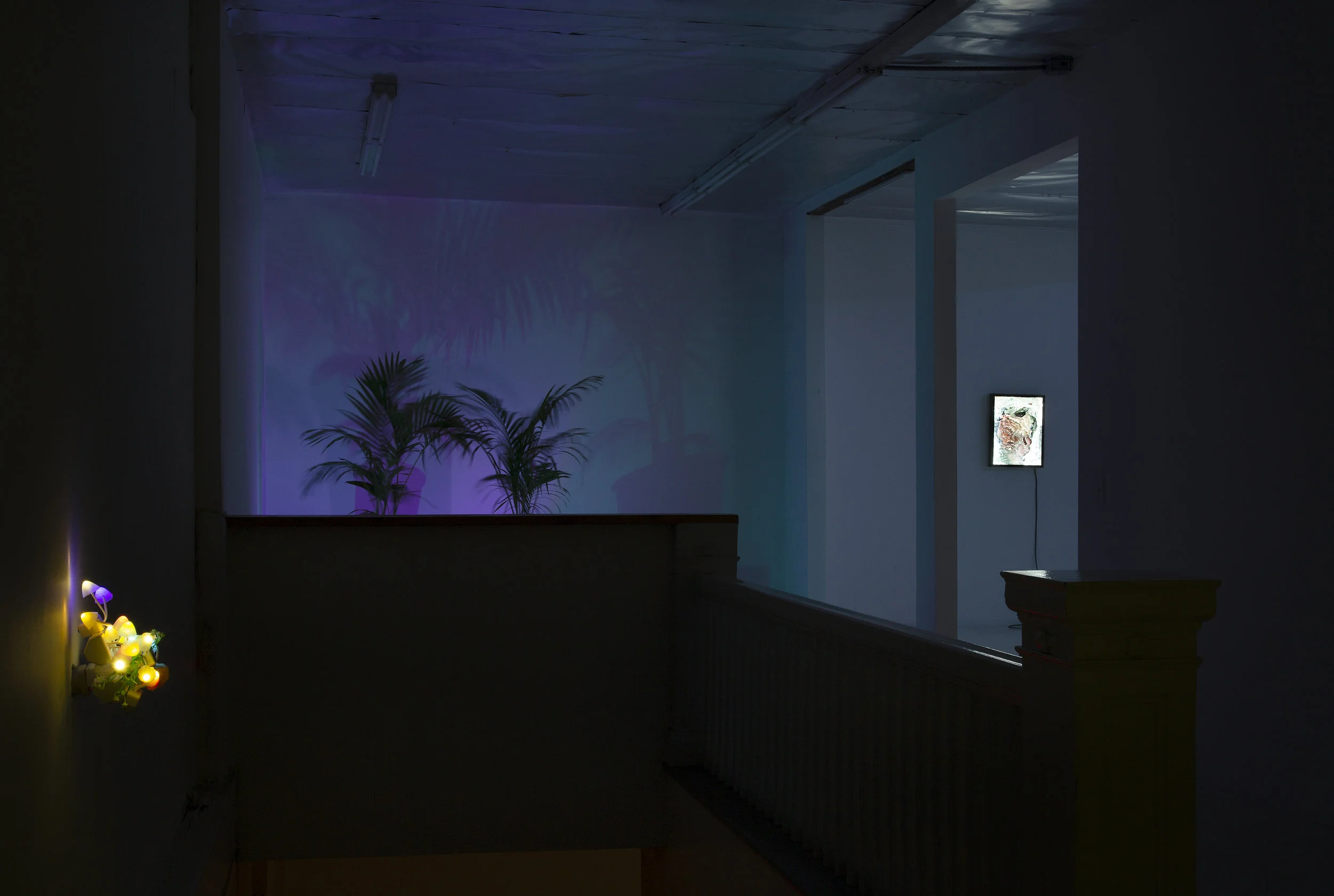   Beckoning the Mutation  Installation View 