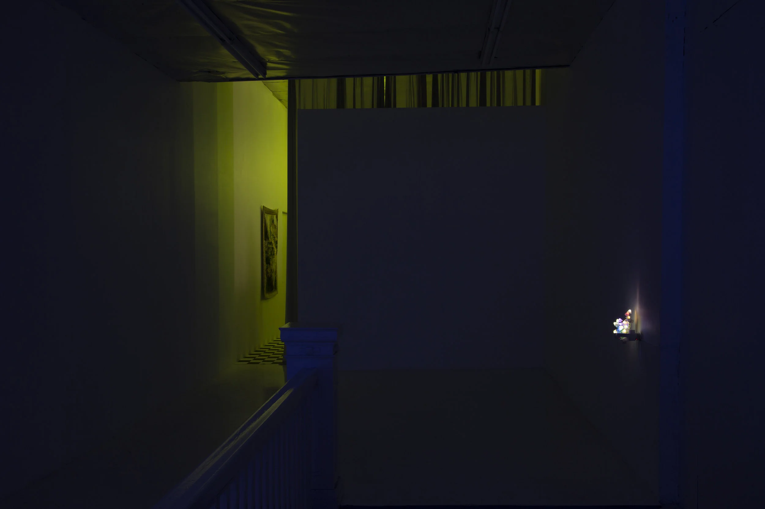   Beckoning the Mutation  Installation View 