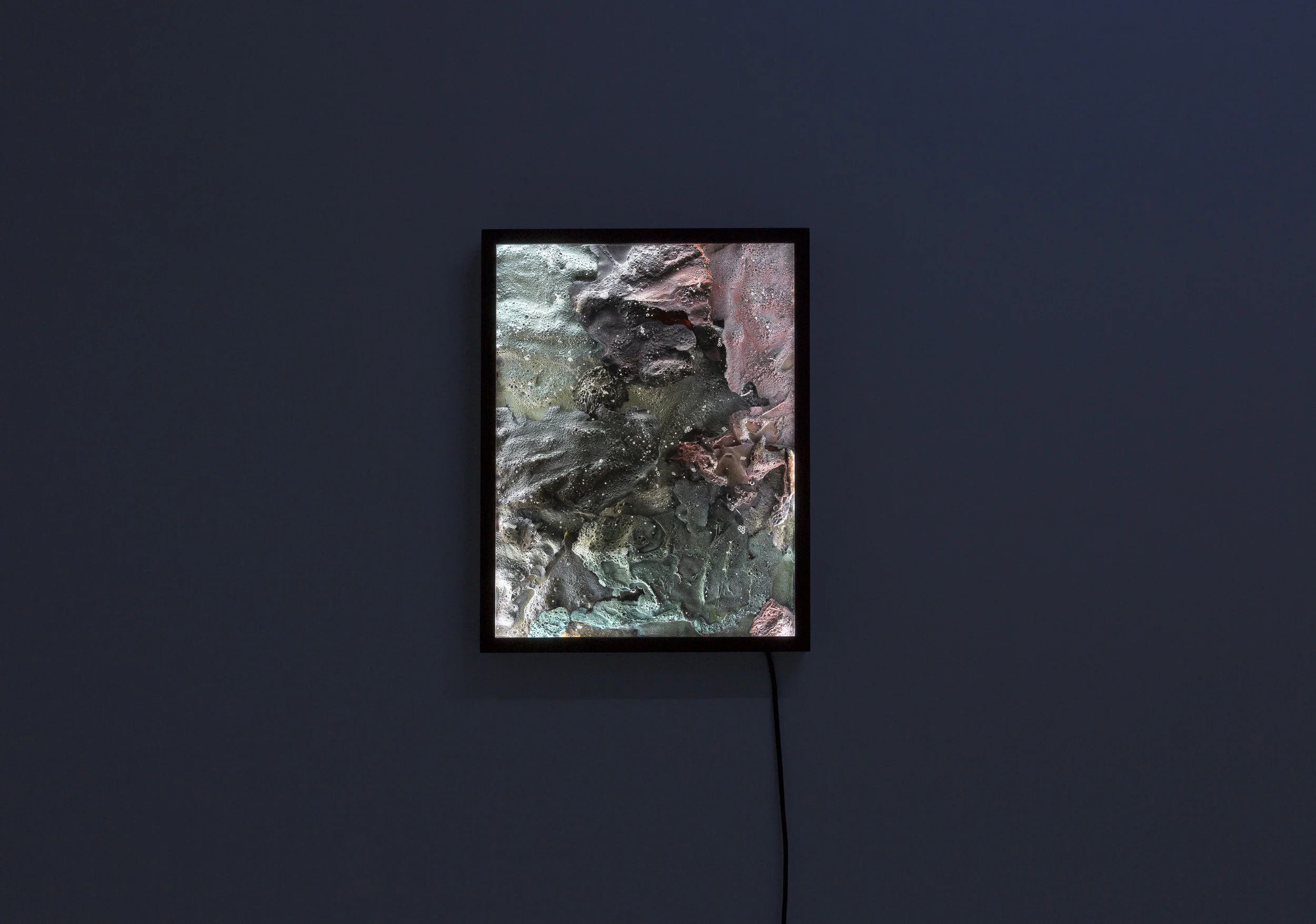  Andrew Luk,  Horizon Scan No. 10 , 2018 