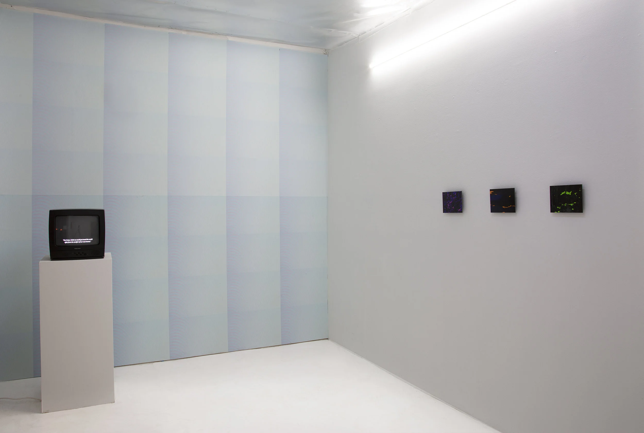   Beckoning the Mutation  Installation View 