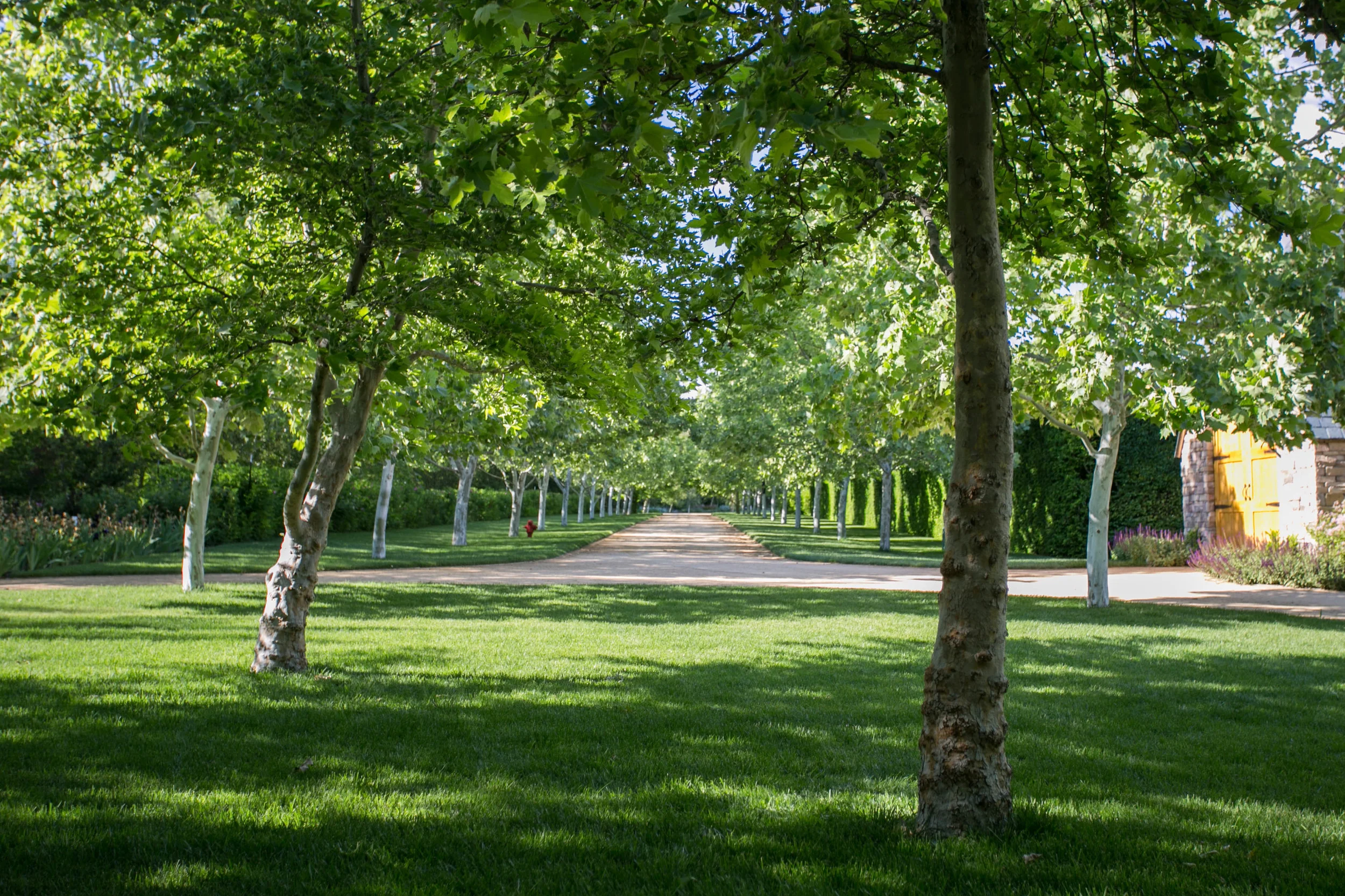 Looking back from the Stable