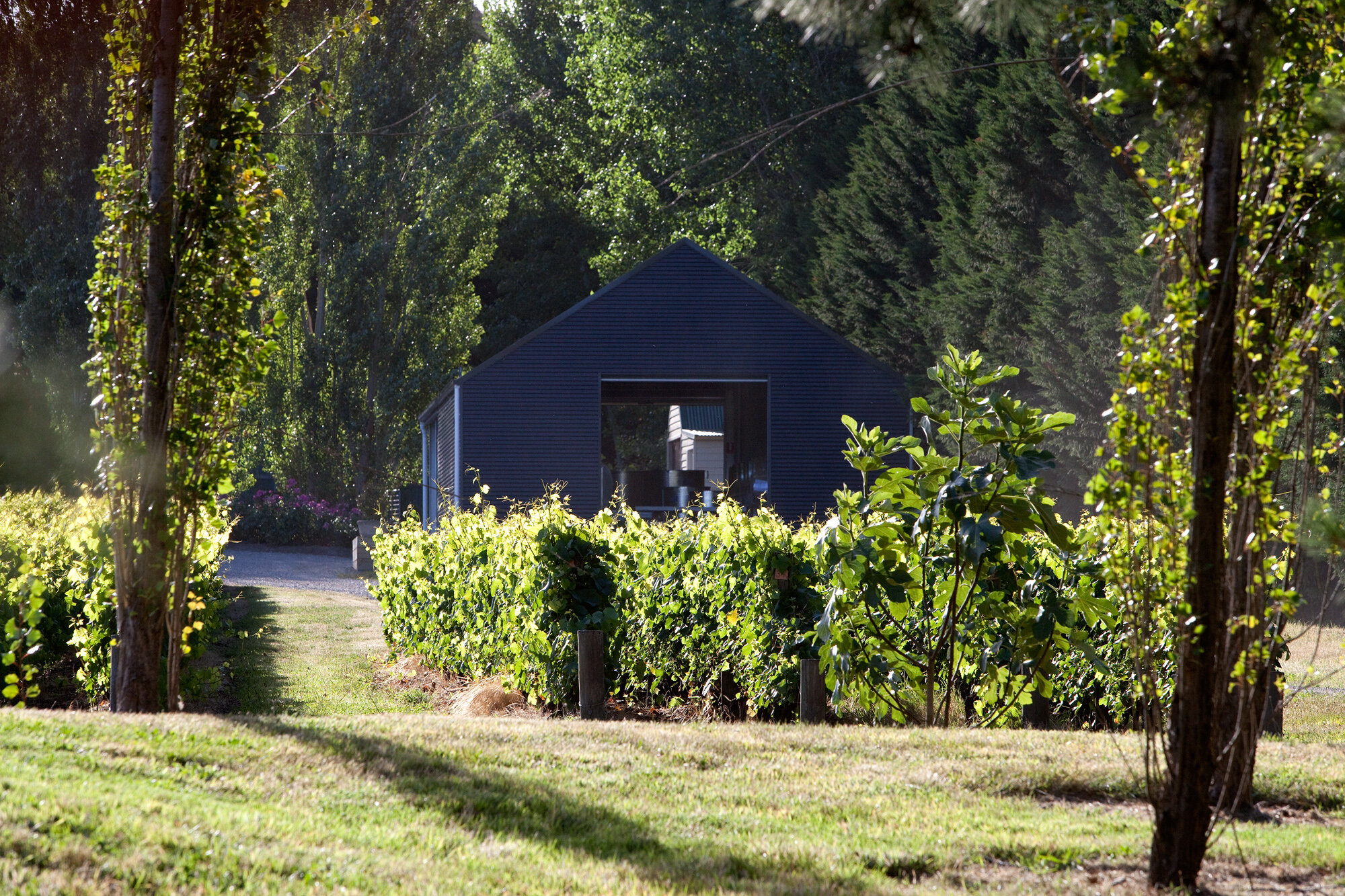 Winery for website.jpg