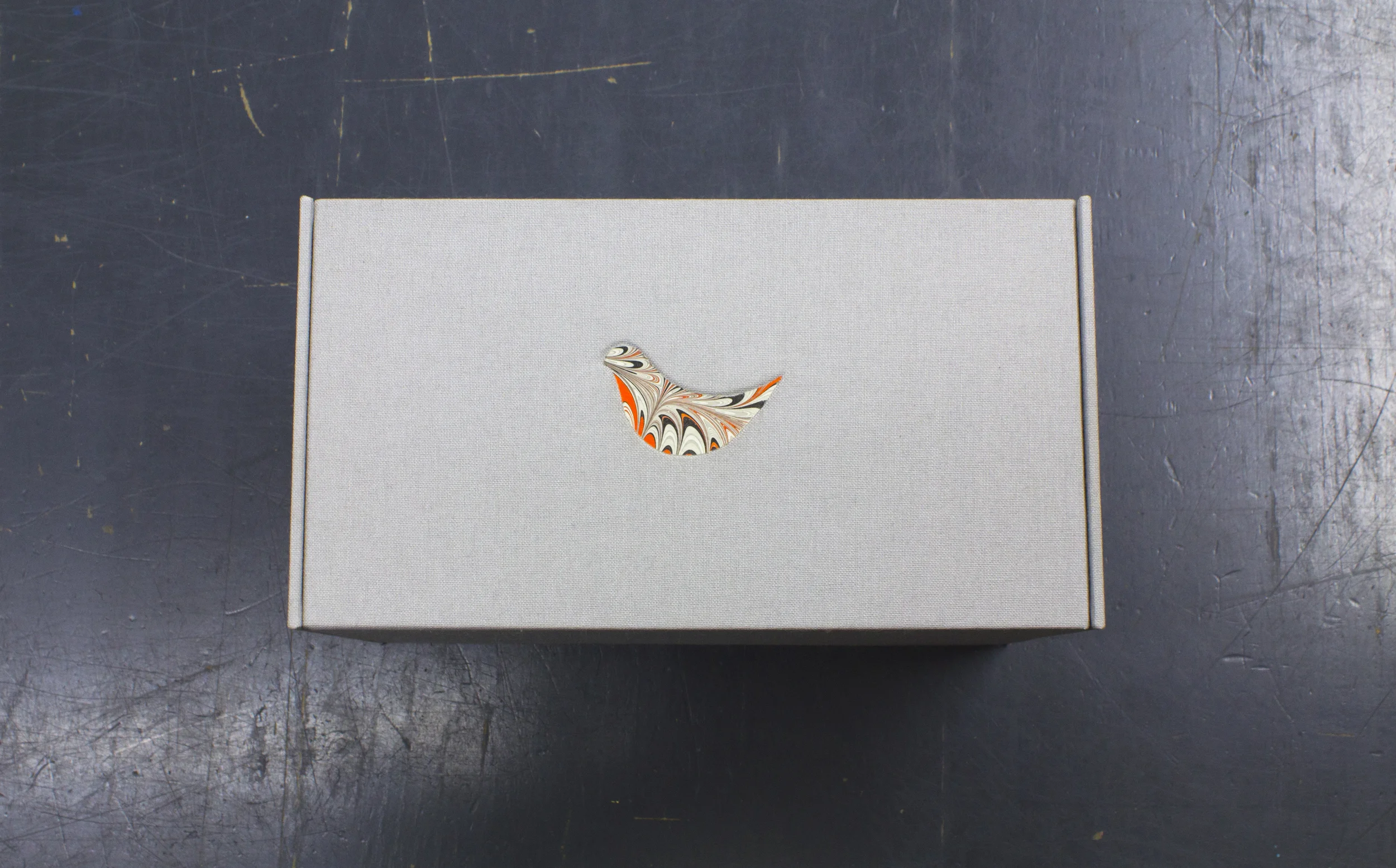 MAZZOTTIBOOKSBird1.jpg