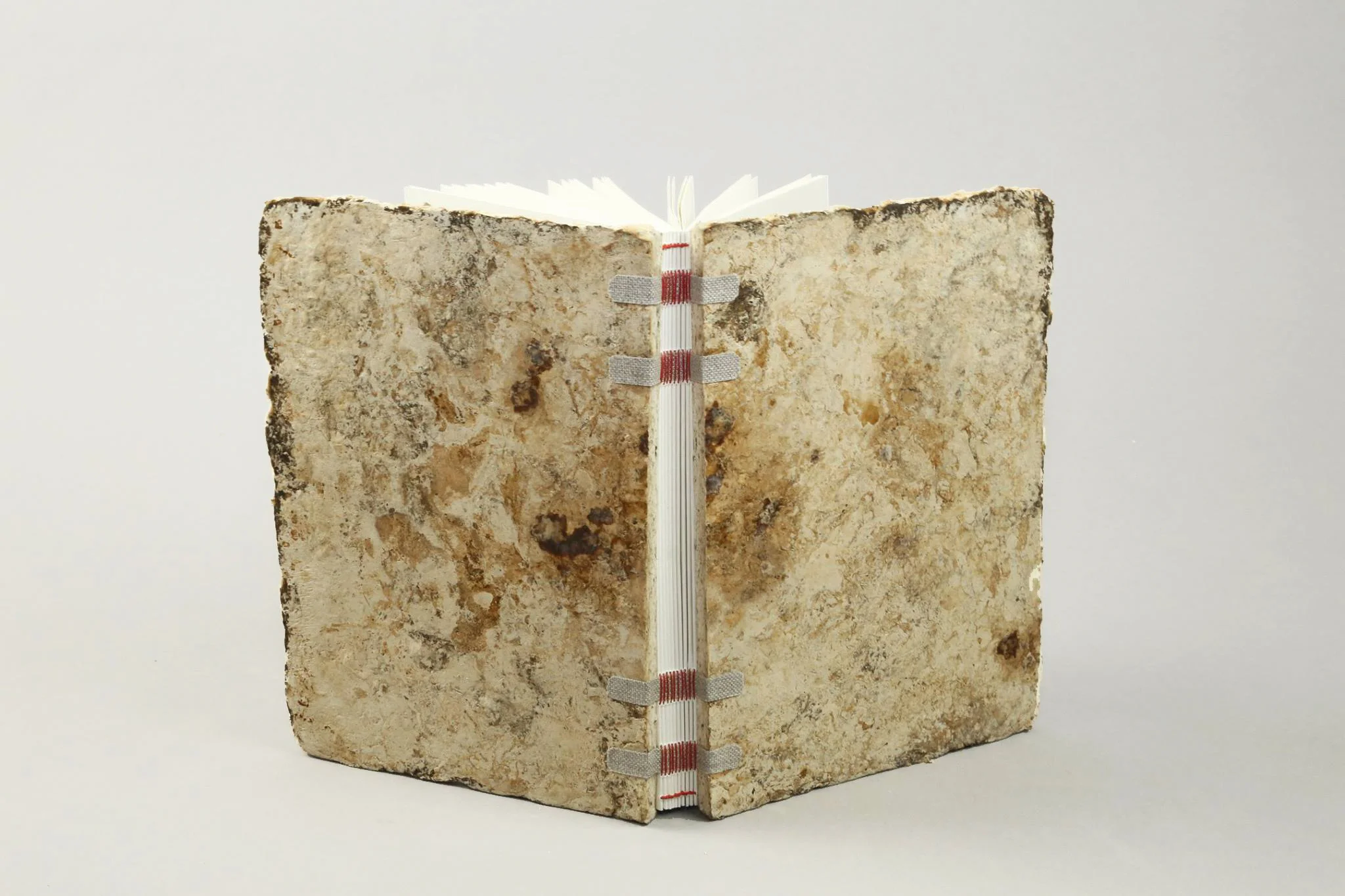 MazzottiBooks-OfficinaCorpuscoli1.jpg