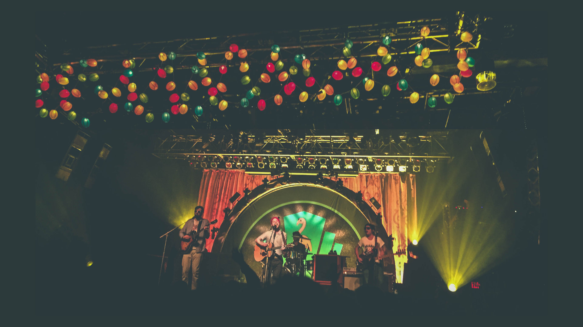 LAST dr dog try.003 2.jpeg