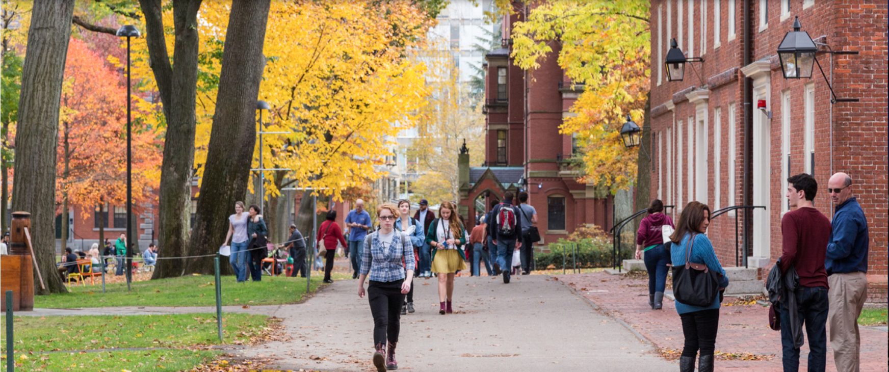 Babson Global