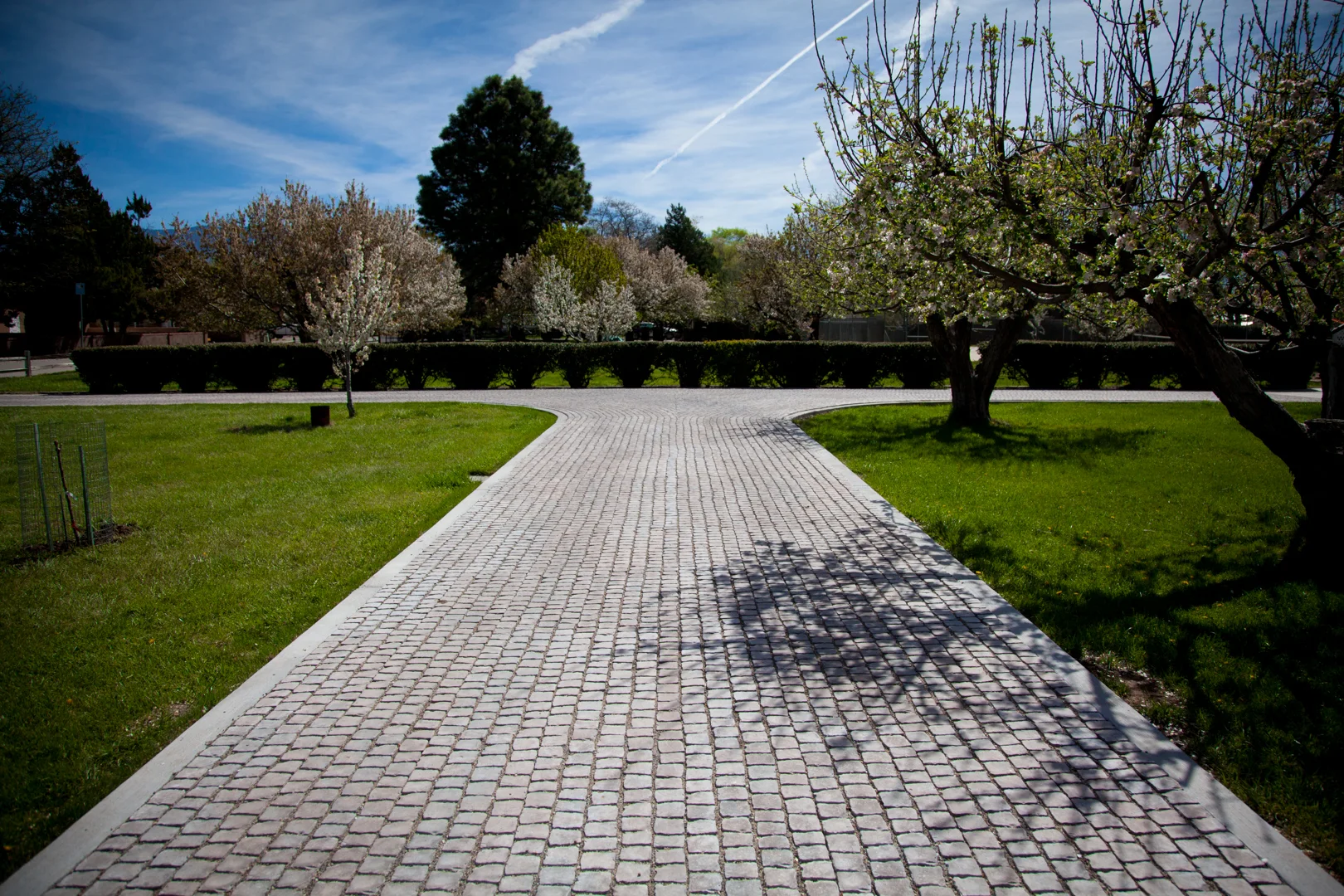 CobbleSystems Driveway