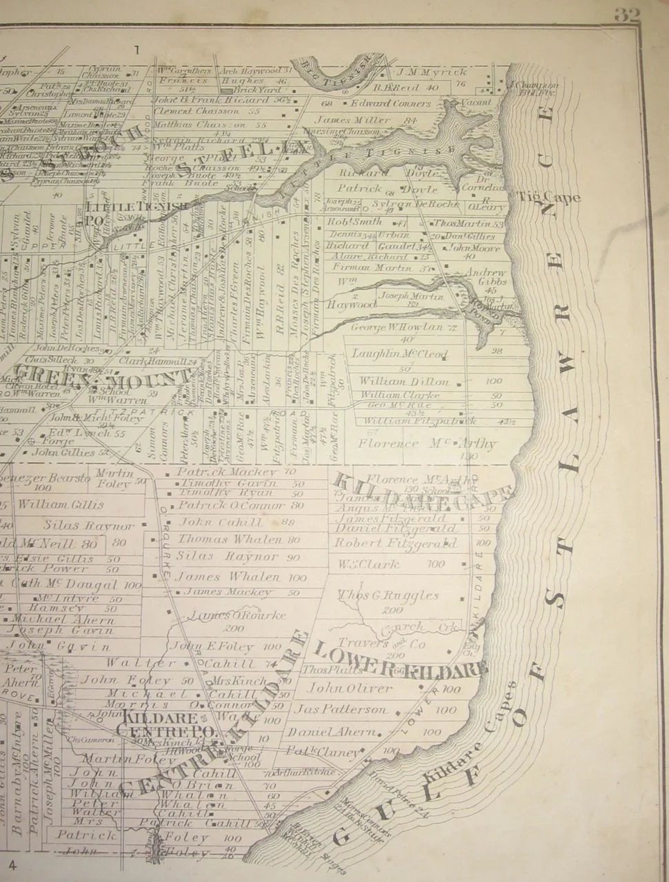 Meacham1880Lot2-3d.jpg