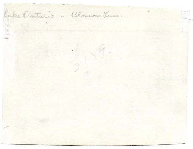 HelenHaszardViews1937b 2.jpeg