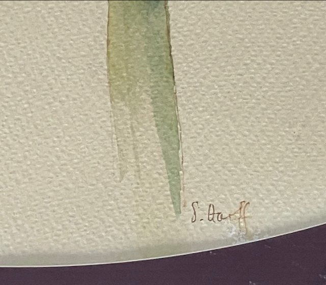 SallyBlakeHooffAmaryllis2025a.jpeg (Copy)