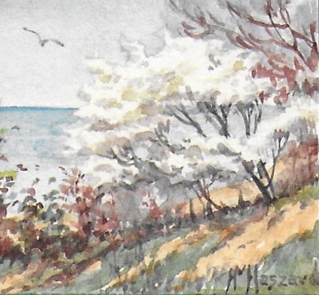 HelenHaszardViews1937b 1 (3).jpeg