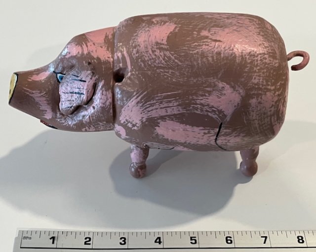 Standing Pig