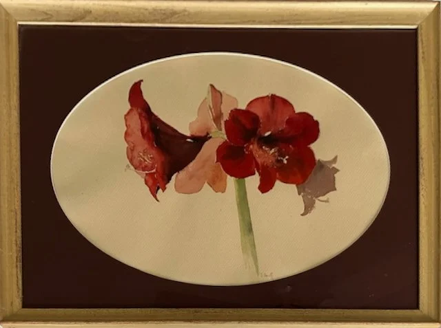 SallyBlakeHooffAmaryllis2025d.jpeg (Copy)