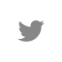 AngelaLevin-Twitter.png