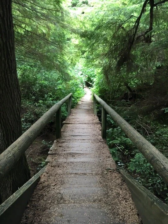 Resolutions That Matter &amp; That You Are Going To Keep