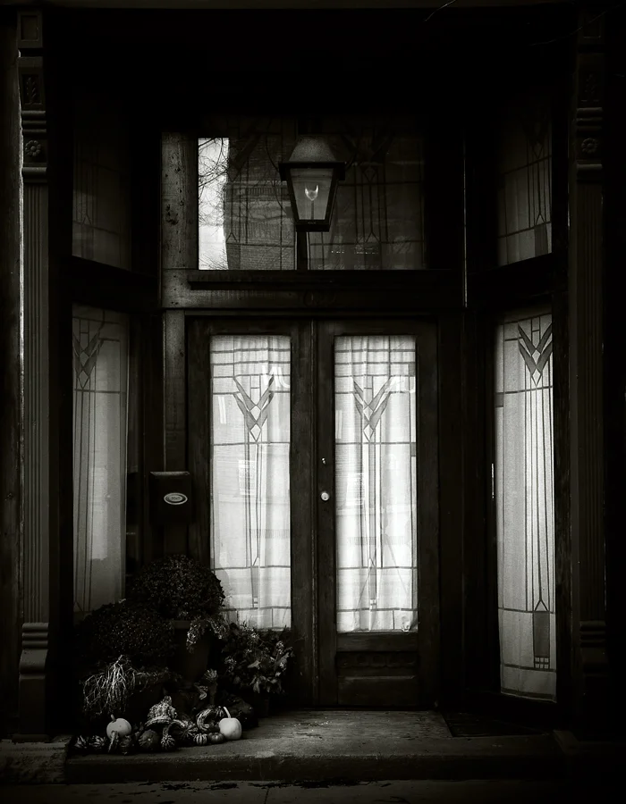 The Matyk Building Door. The plants are long past dead but still gives life to the space. 