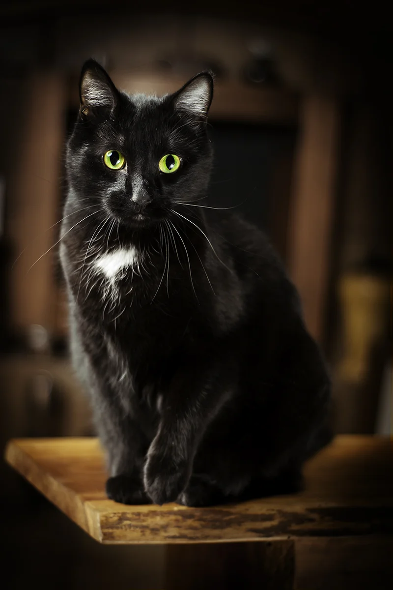 DSC_0098.jpg