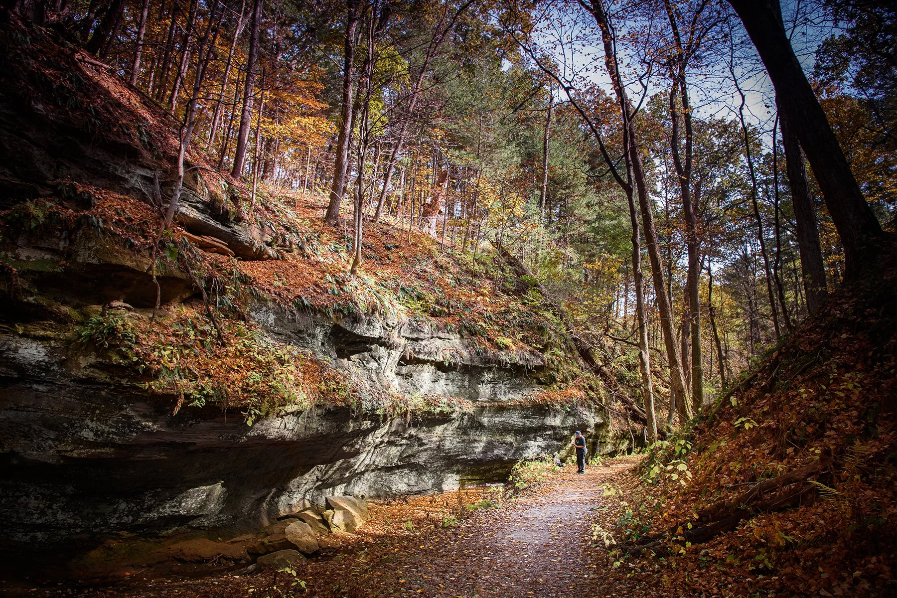 Wildcat Den Trail #1 (Copy)