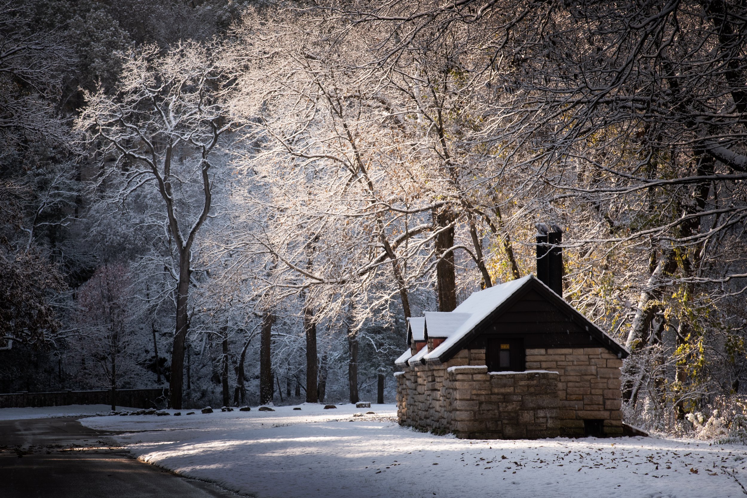 Snowy Trees at Backbone (Copy)