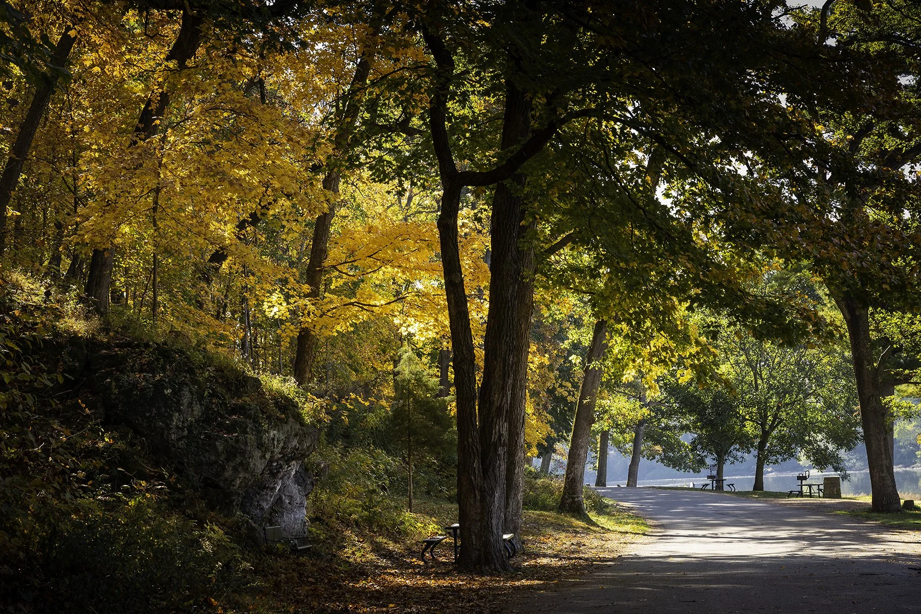 Palisade Park in Fall #1 (Copy)