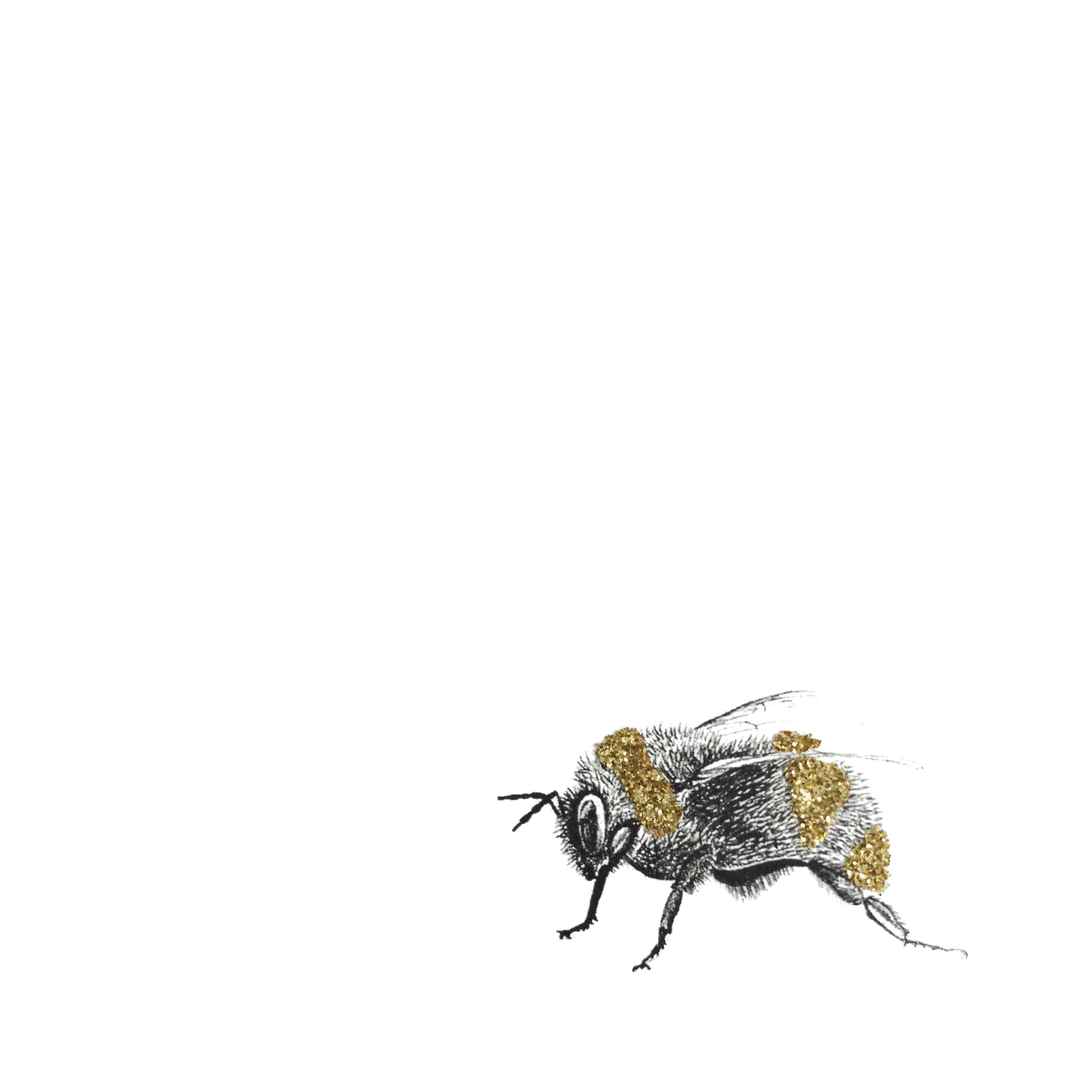 15x15cm300dpi_GlitterBee.jpg
