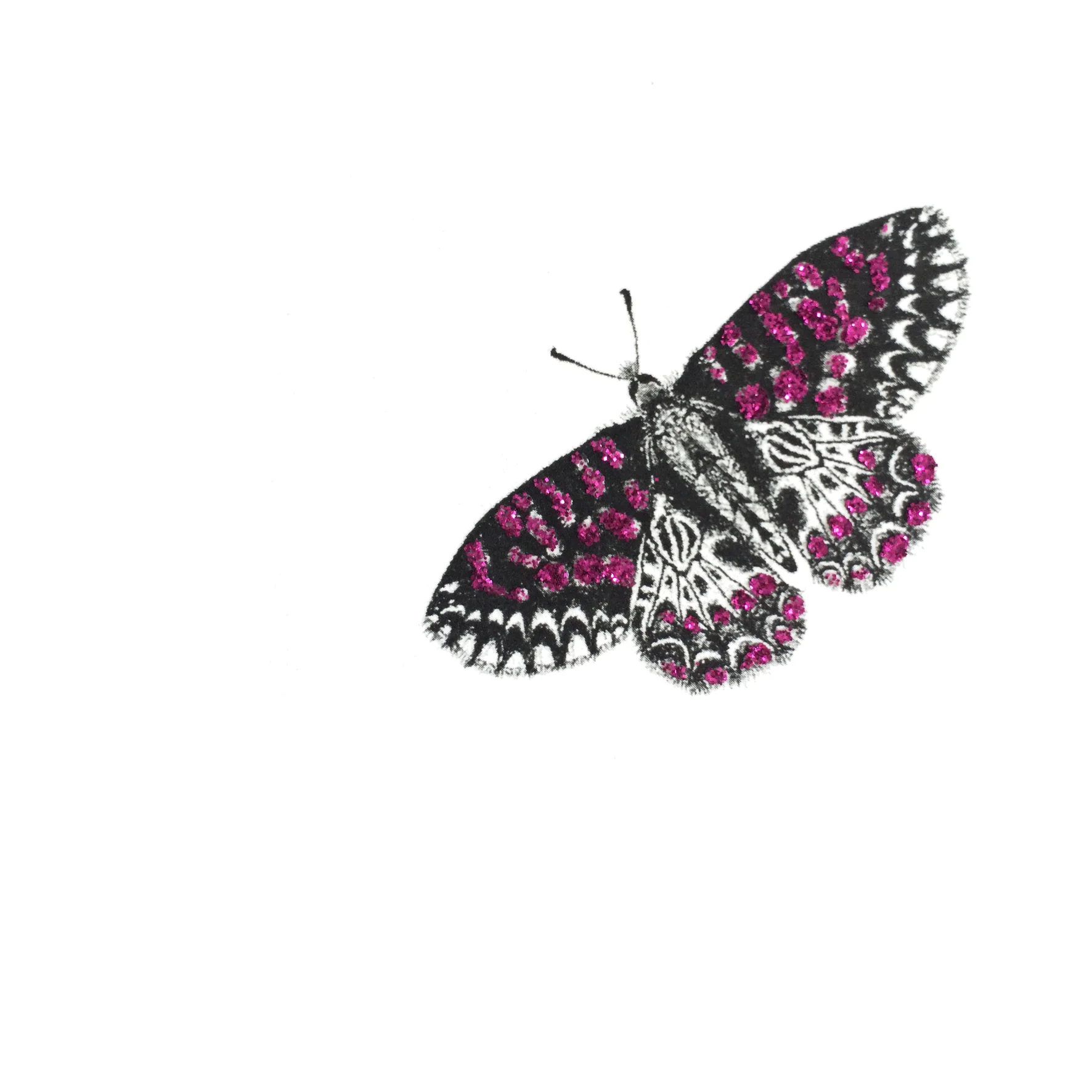 15x15cm300dpi_GlitterButterfly.jpg