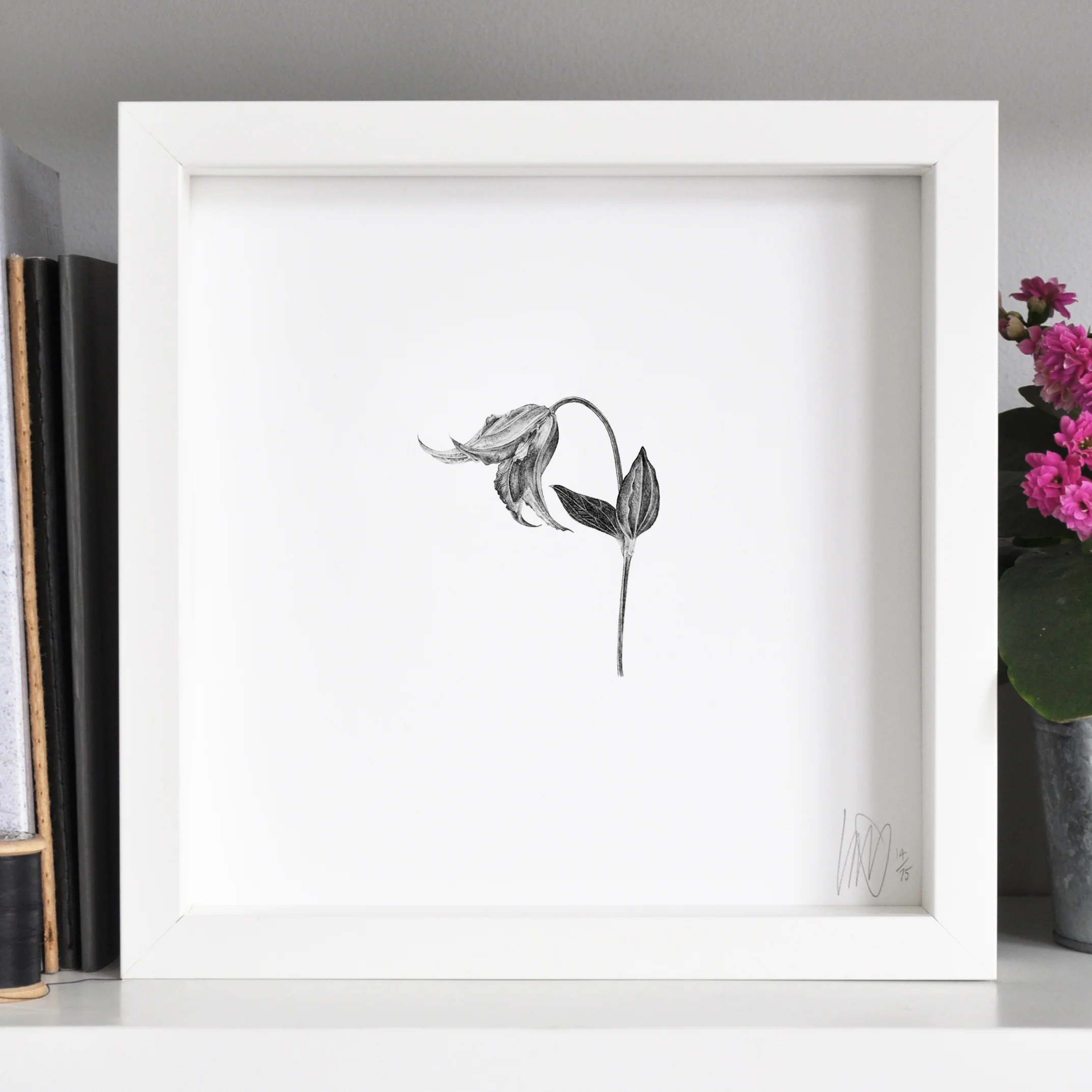 framed clematis print flower