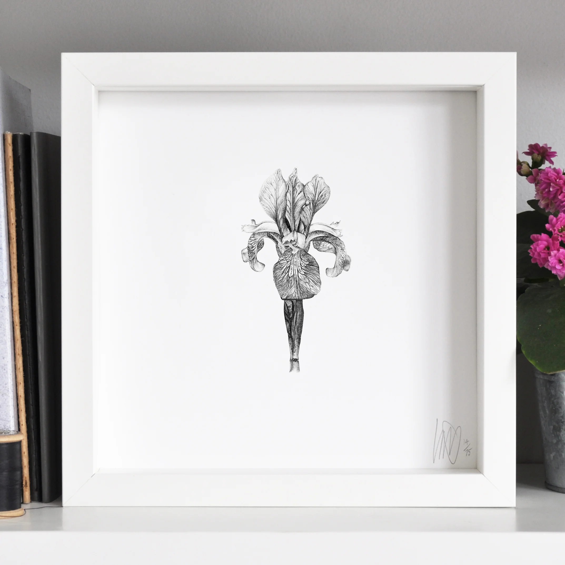 framed iris print flower
