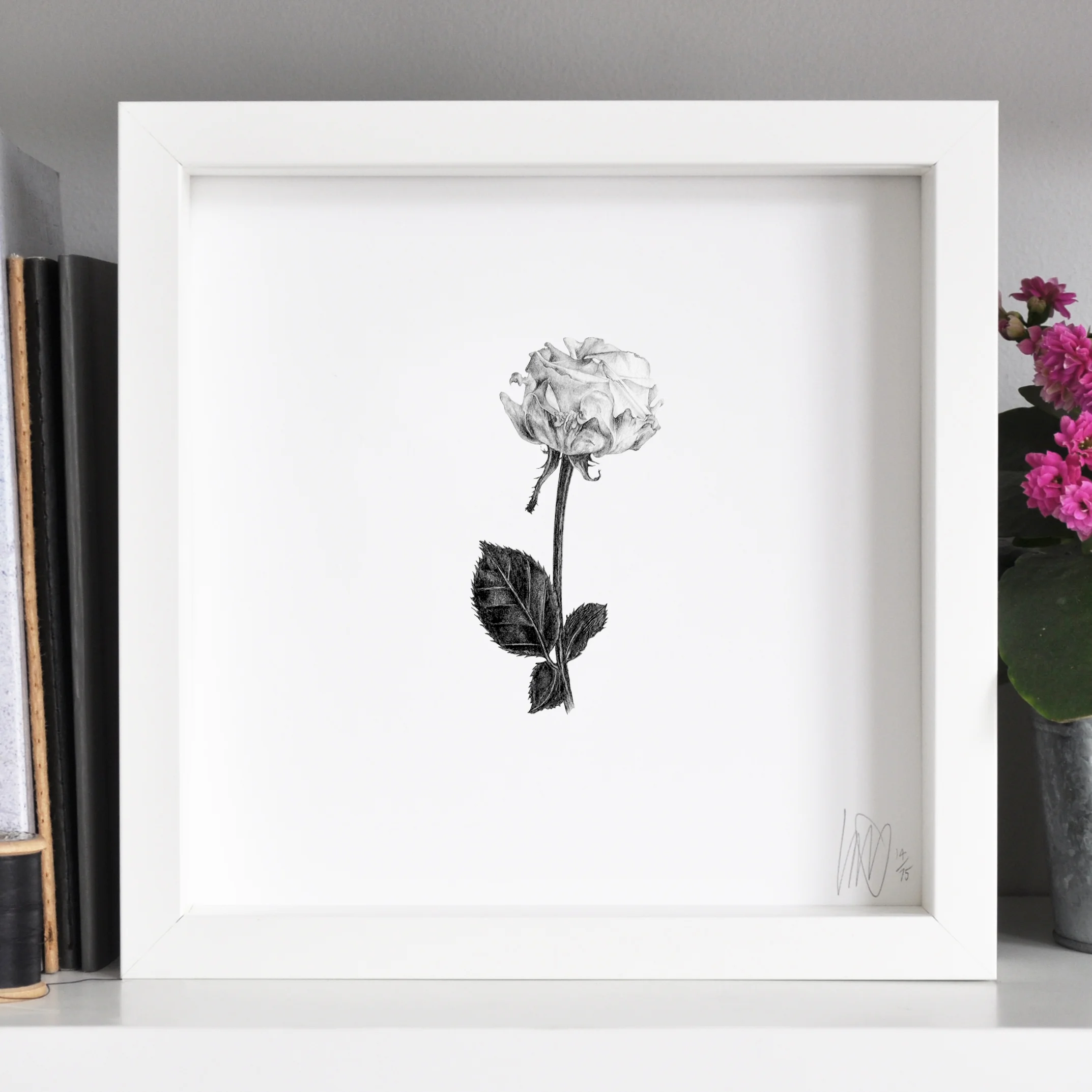 framed rose print flower