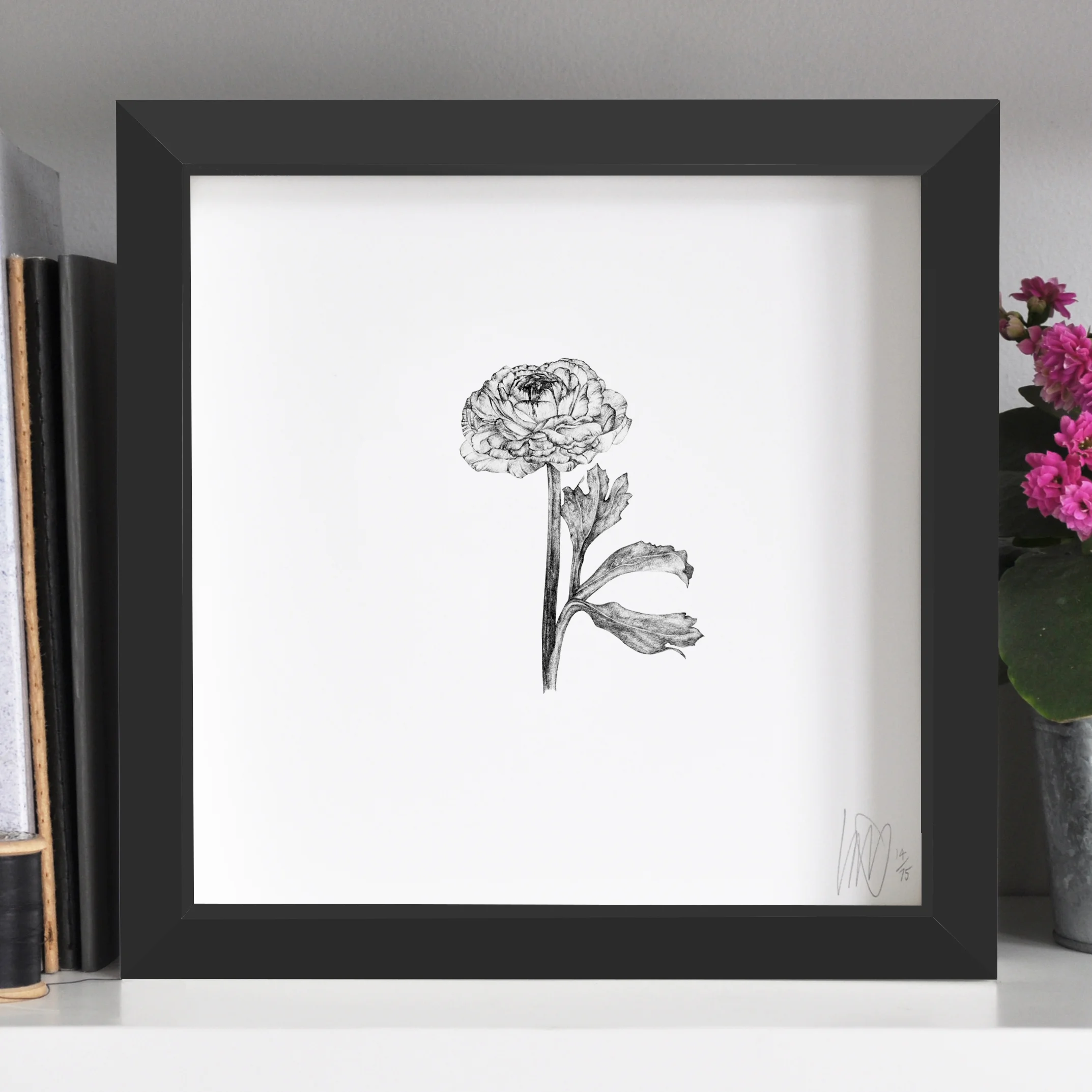 Ranunculus_B.jpg