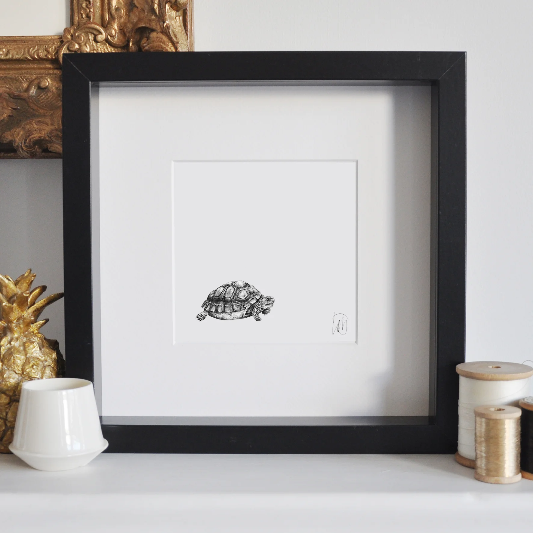 15x15cm300dpi_BF_Tortoise.jpg
