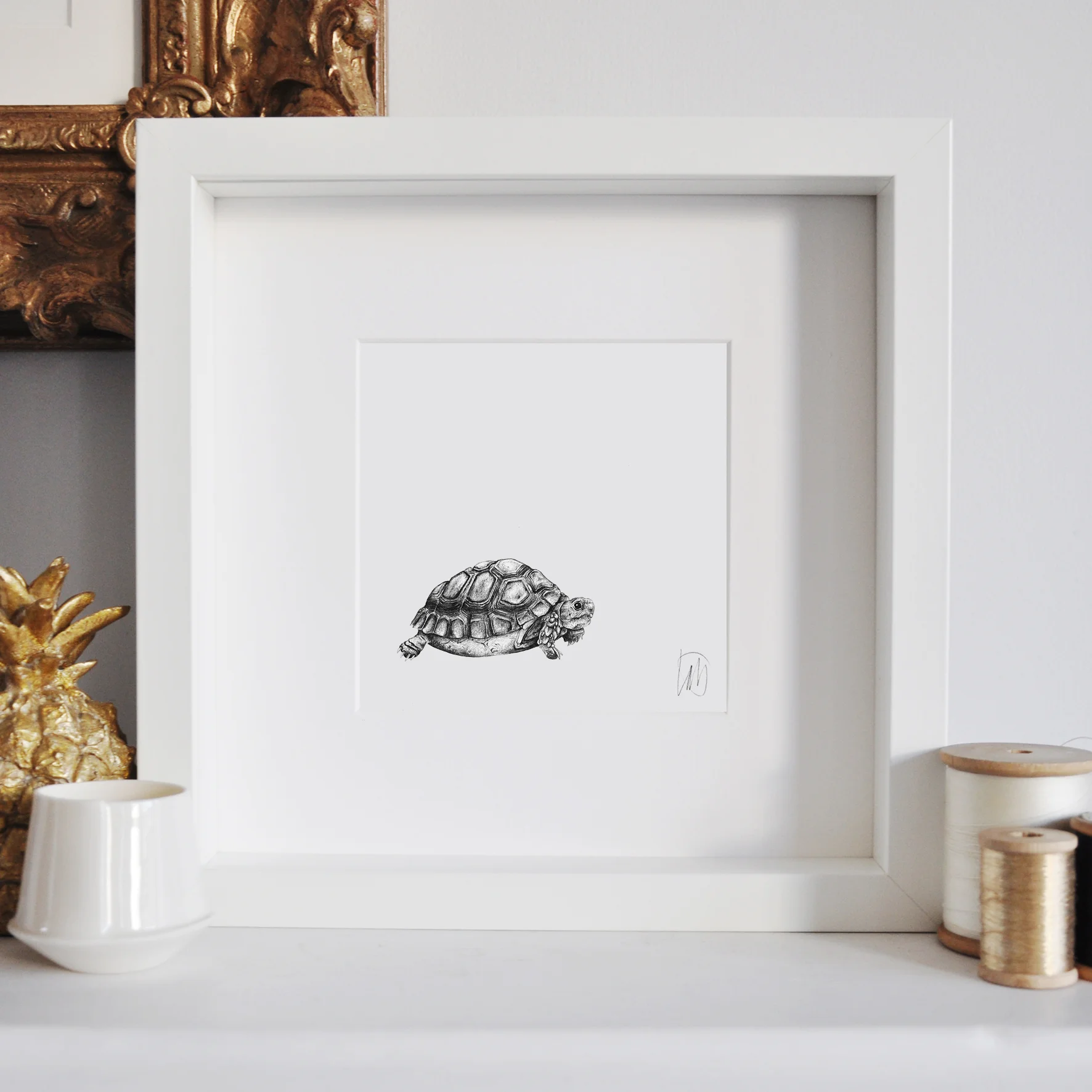 15x15cm300dpi_WF_Tortoise.jpg