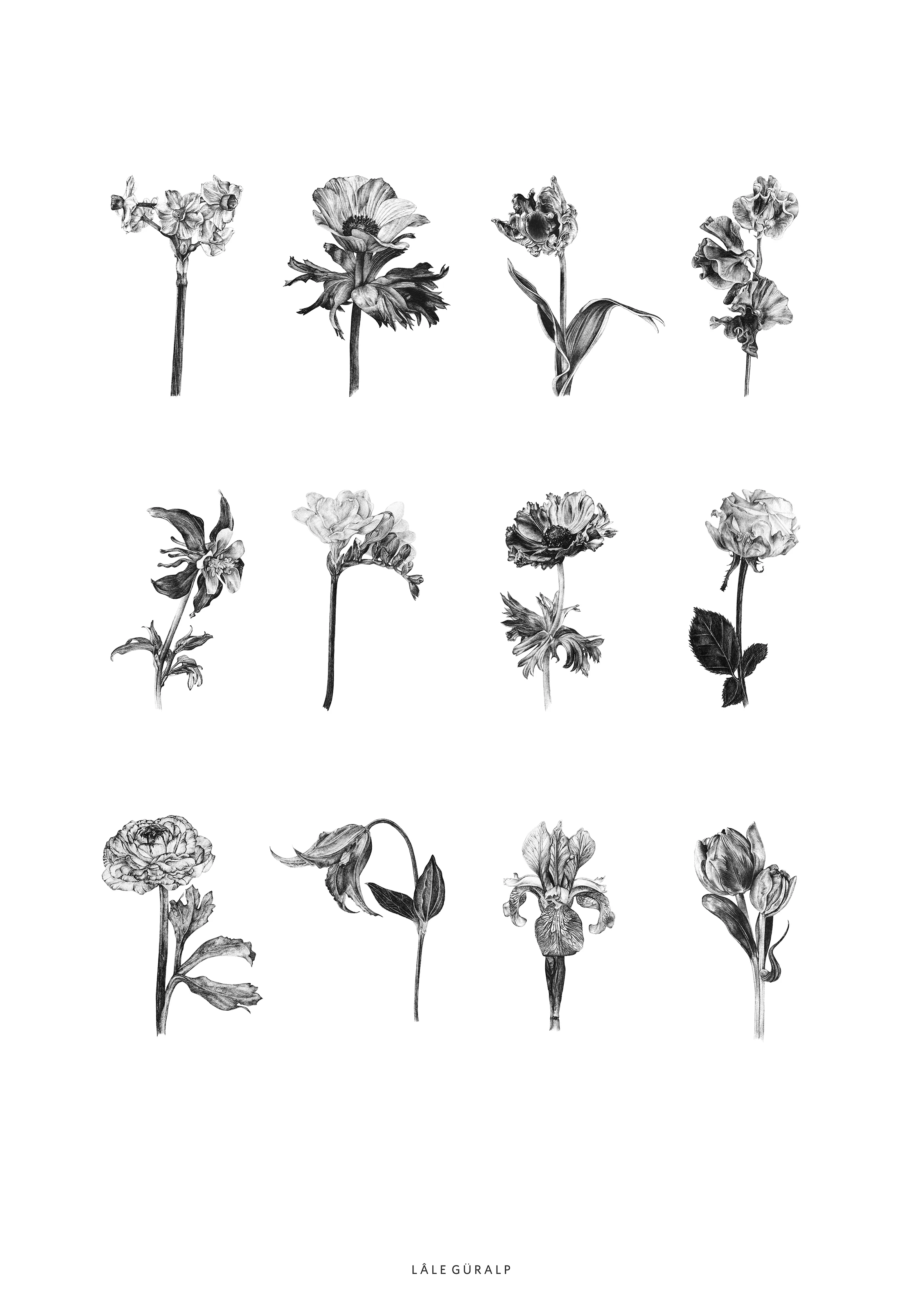 LaleGuralp_ADozenFlowers_Poster_.jpg
