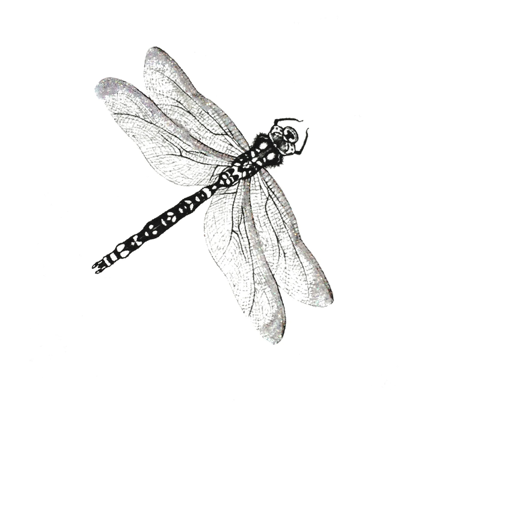 15x15cm300dpi_GlitterDragonfly.jpg