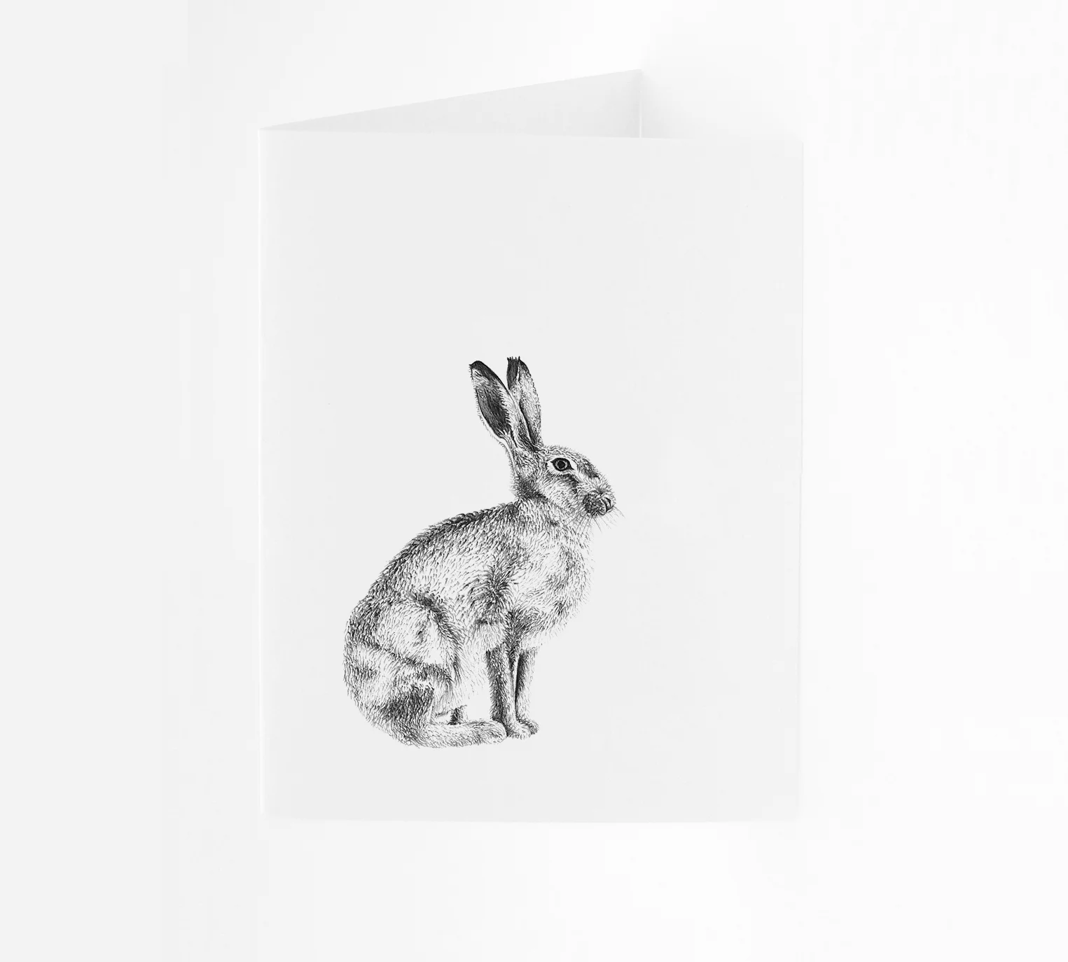 SM_AnimalCard_Hare_P.jpg