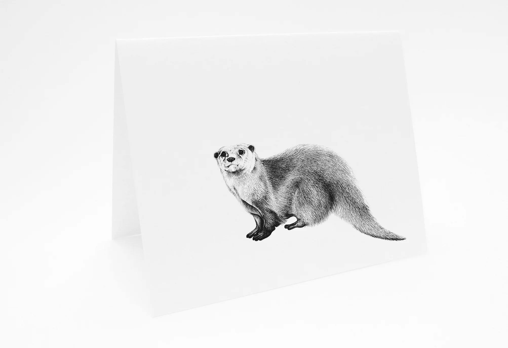SM_AnimalCard_Otter_L.jpg