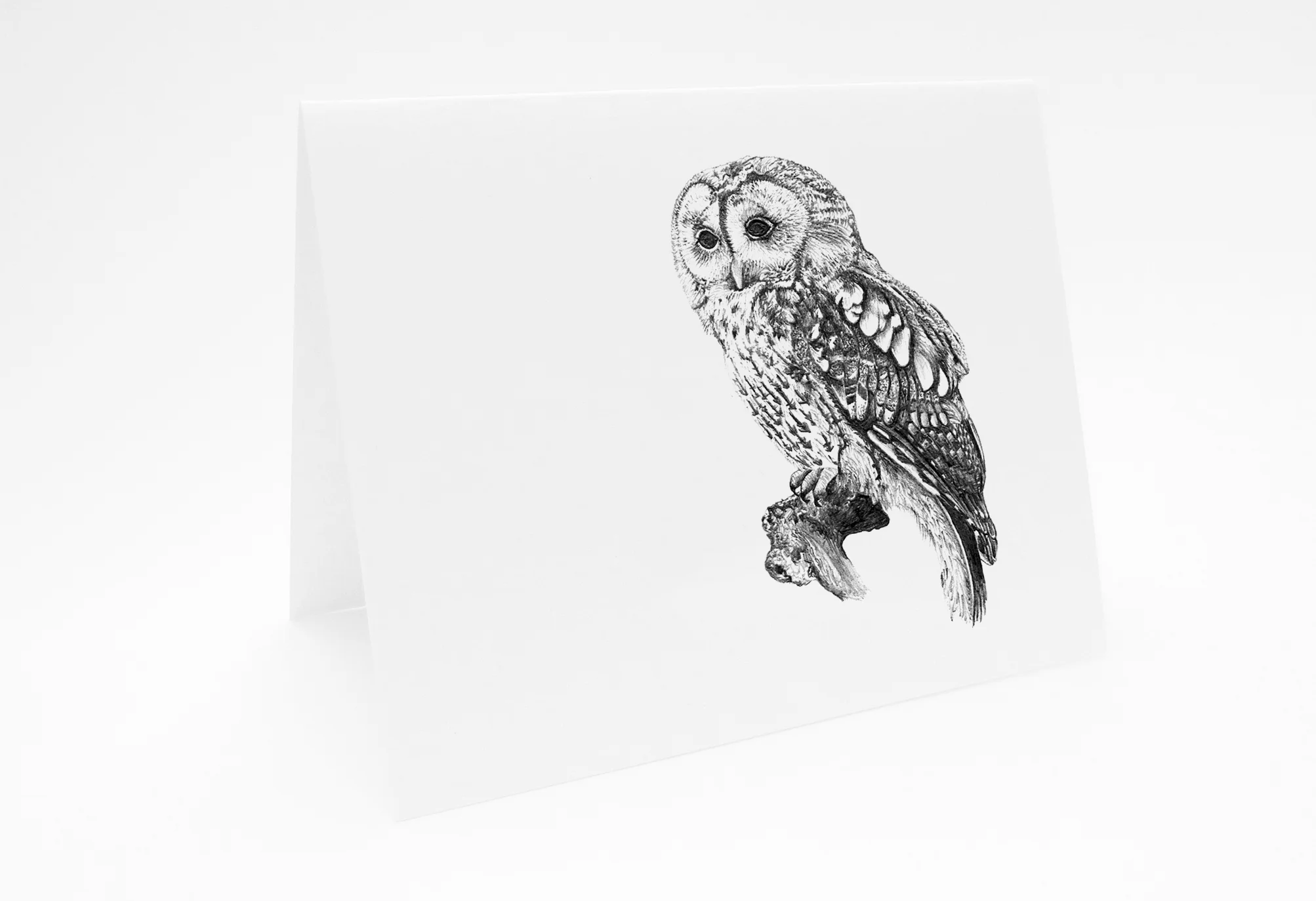 SM_AnimalCard_Owl_L.jpg