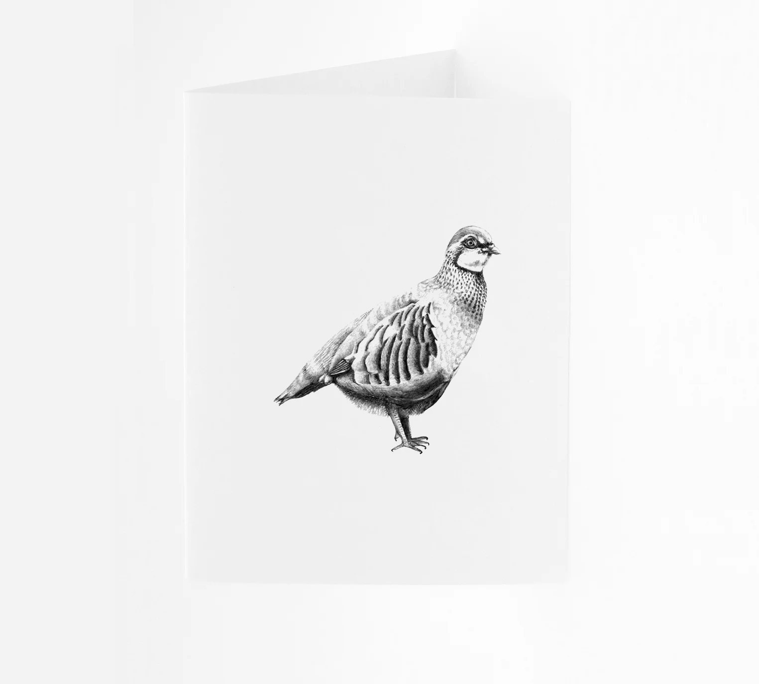 SM_AnimalCard_Partridge_P.jpg