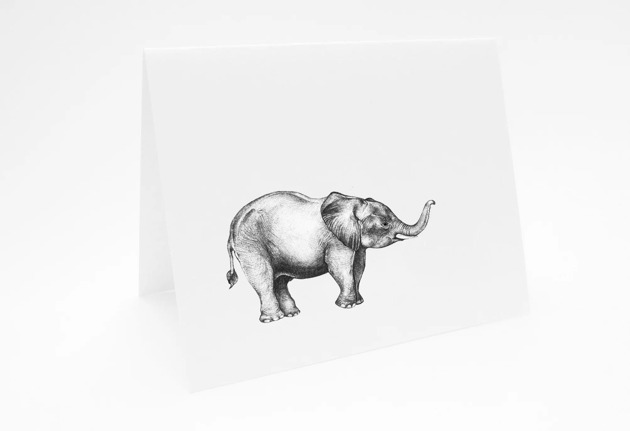 LaleGuralp_SM_L_BabyElephant_Card.jpg
